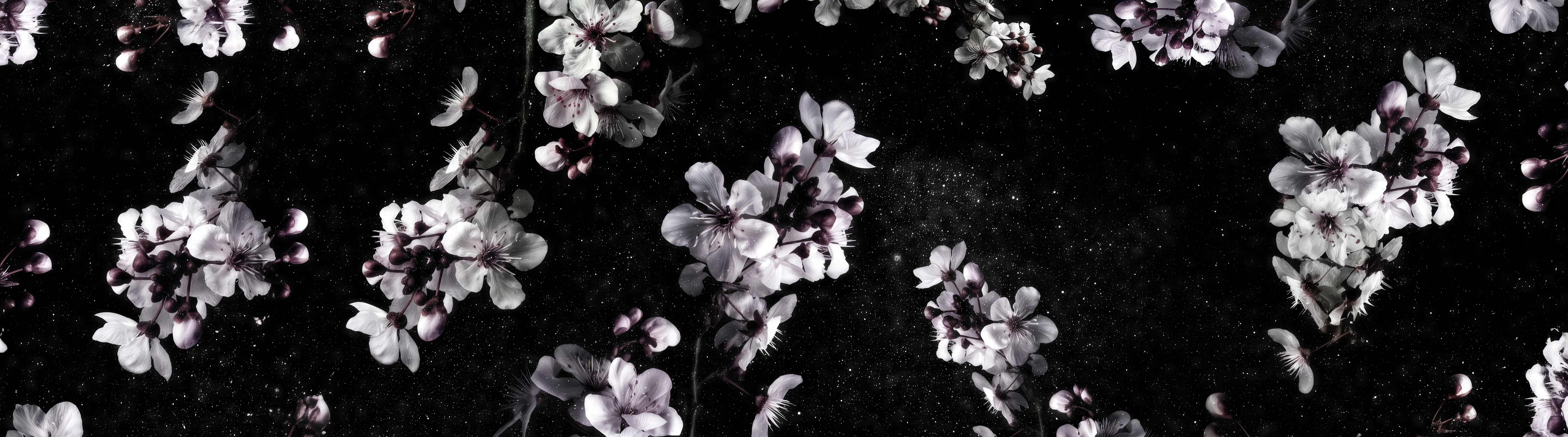 Free photo Contrasting large-format pattern of spring cherry blossoms and fine cosmic dust.