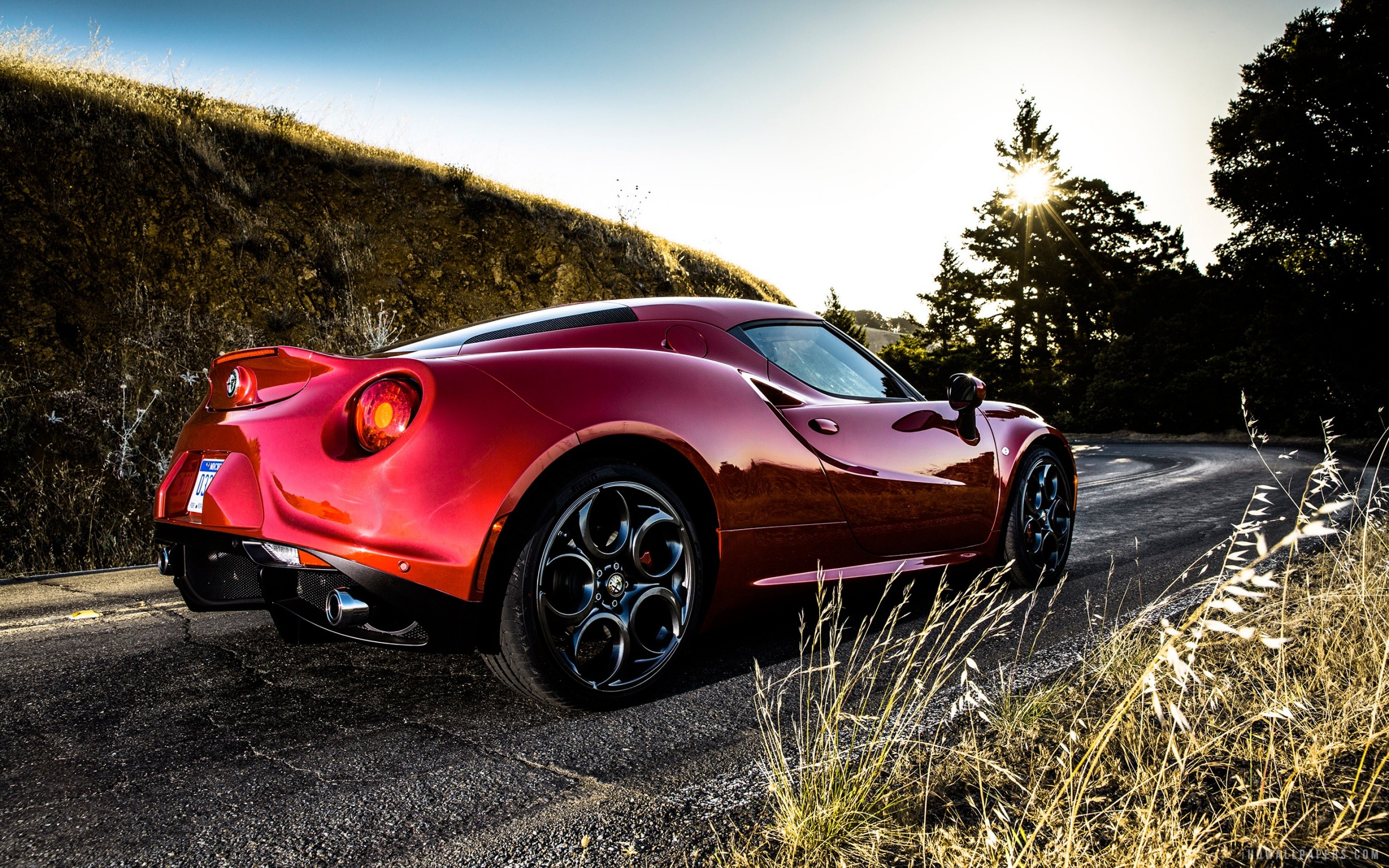 Wallpapers car red vehicle on the desktop