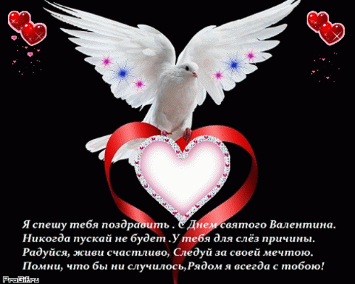 Free postcard Valentine`s Day Gif