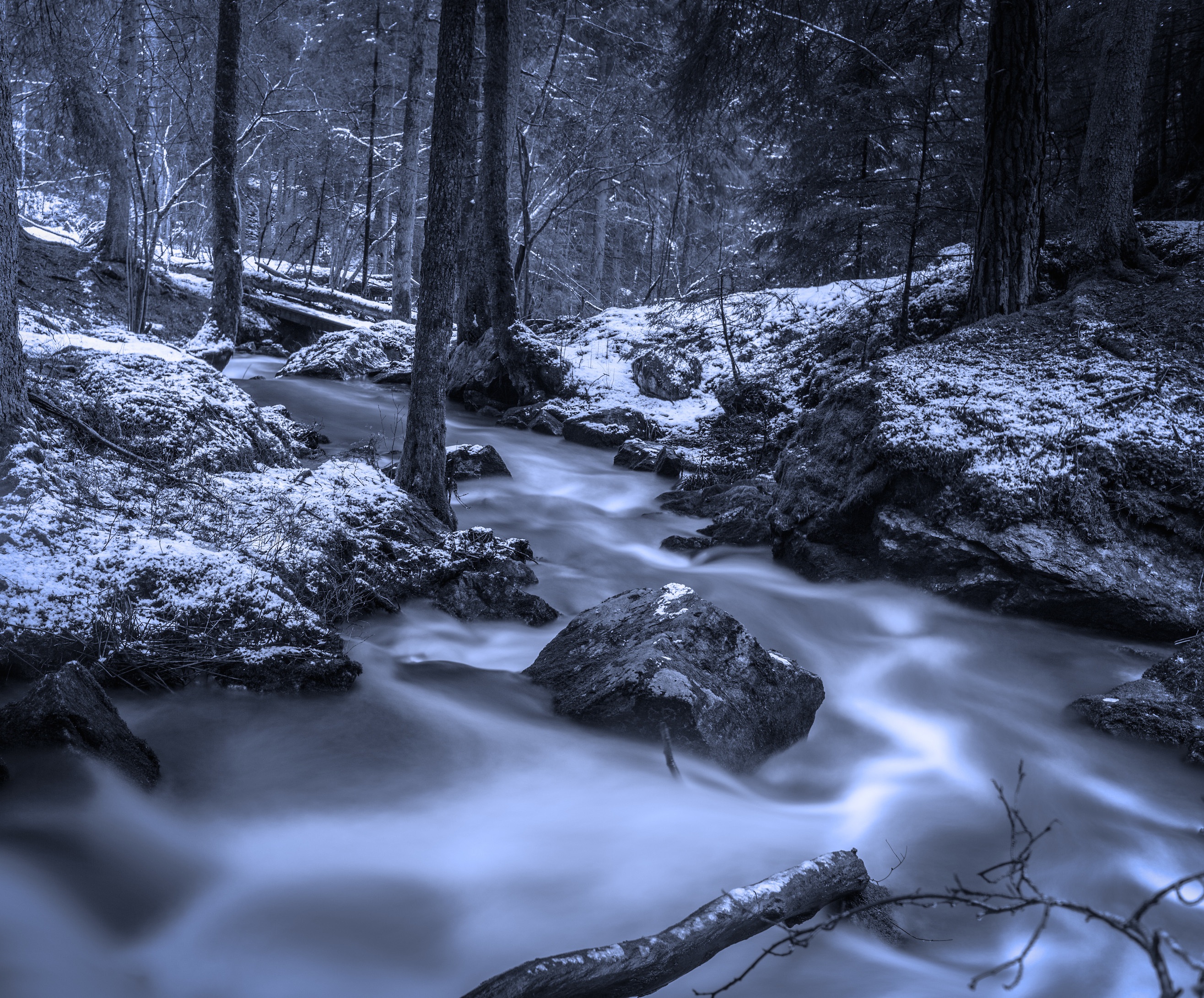 Free photo The first snow on the banks of the creek in the woods