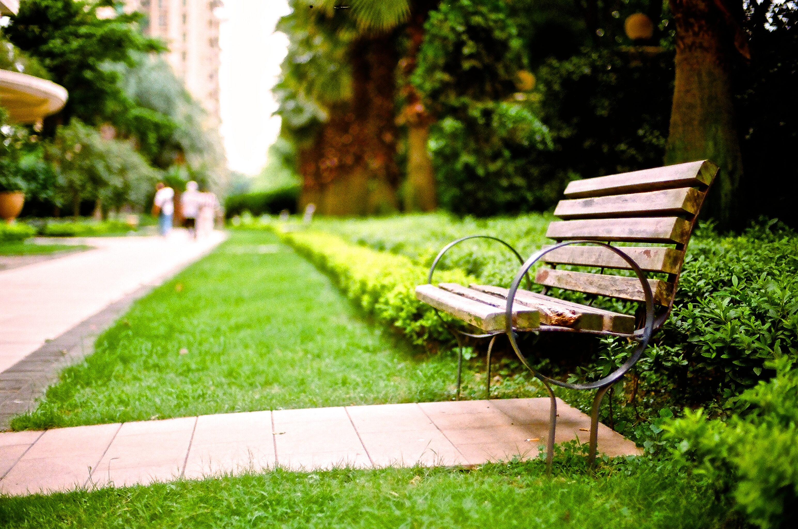 Free photo A bench in a summer park