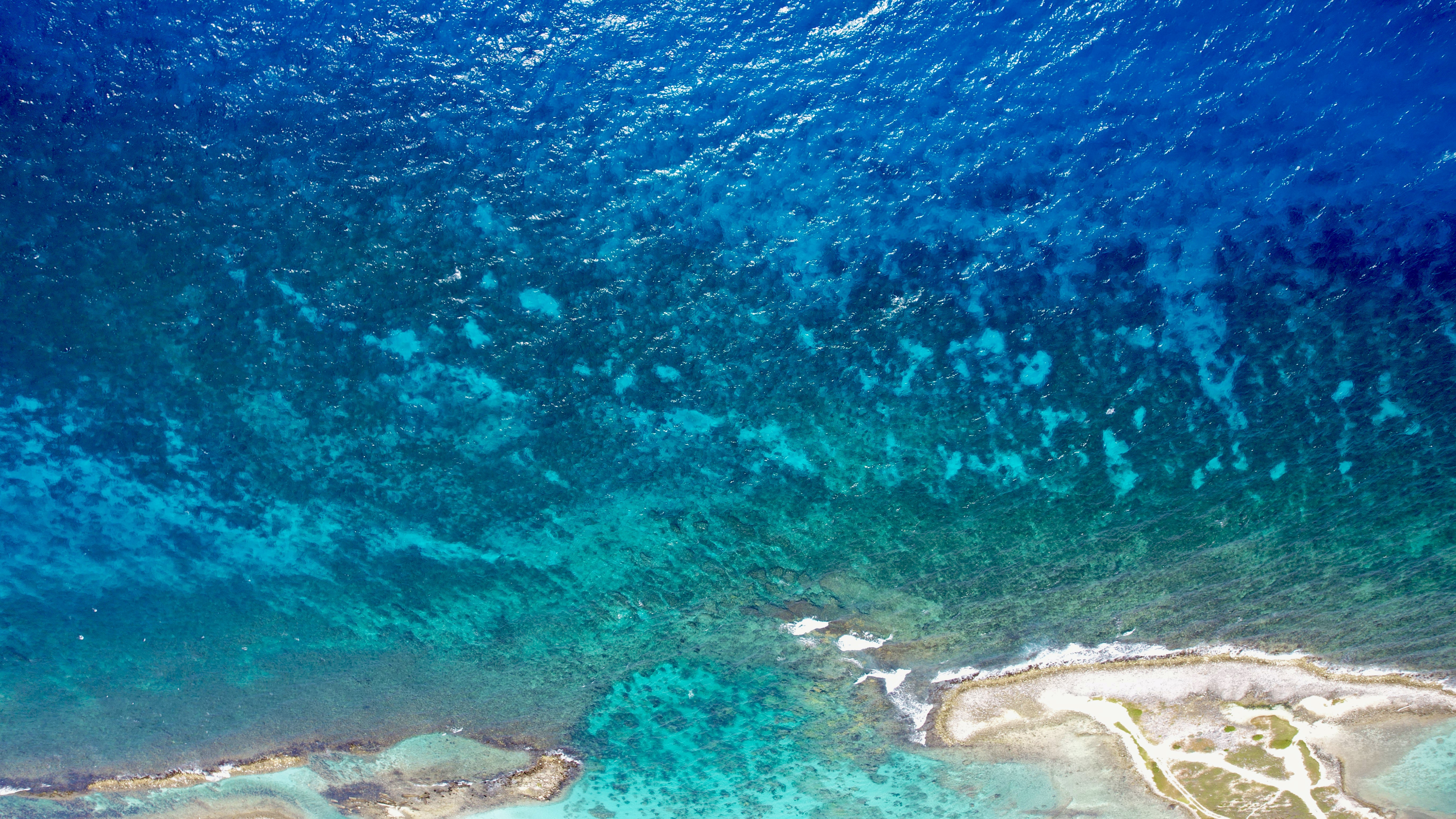 Free photo Ocean shoreline with a view from space