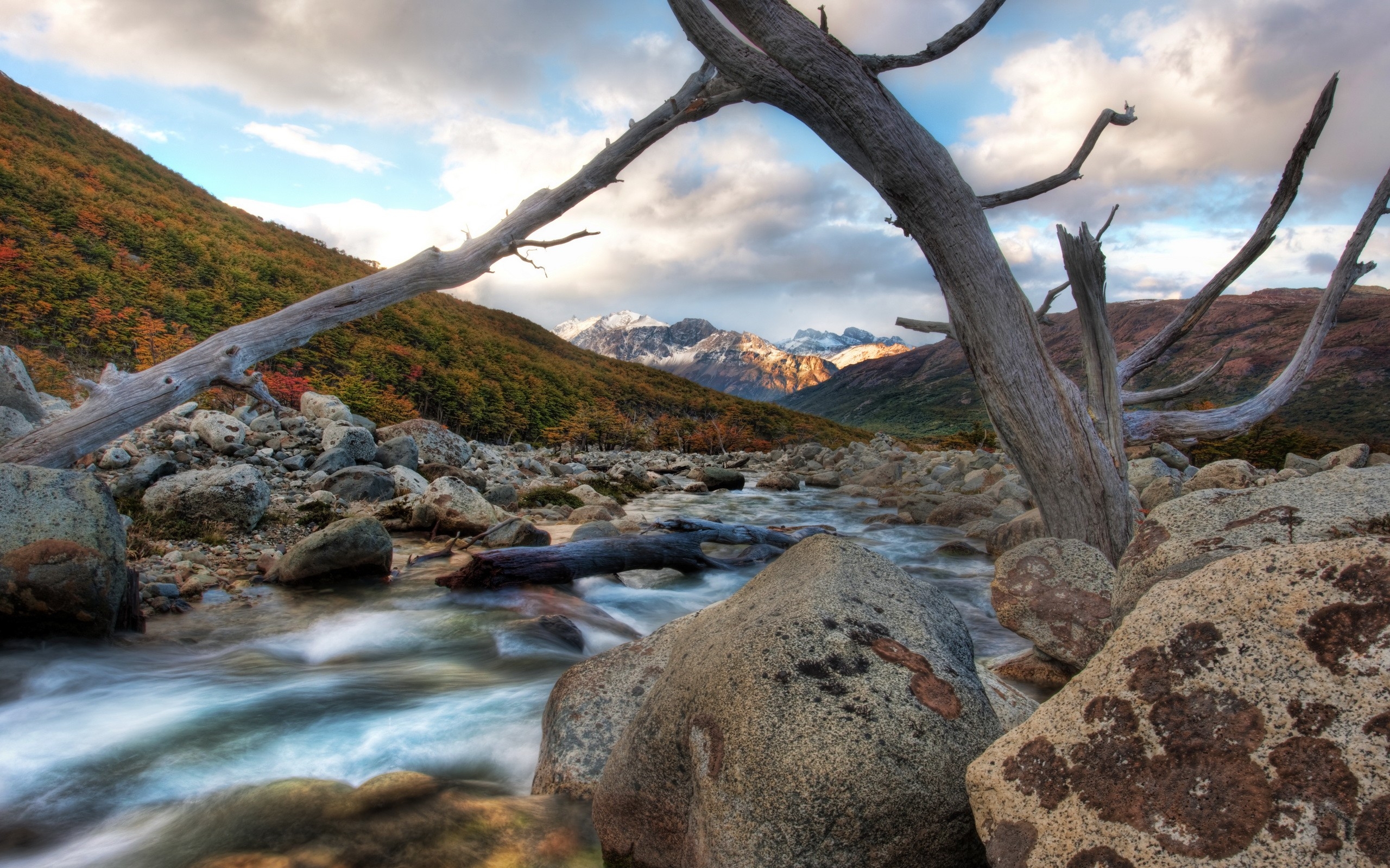 Mountain stream in Patagonia