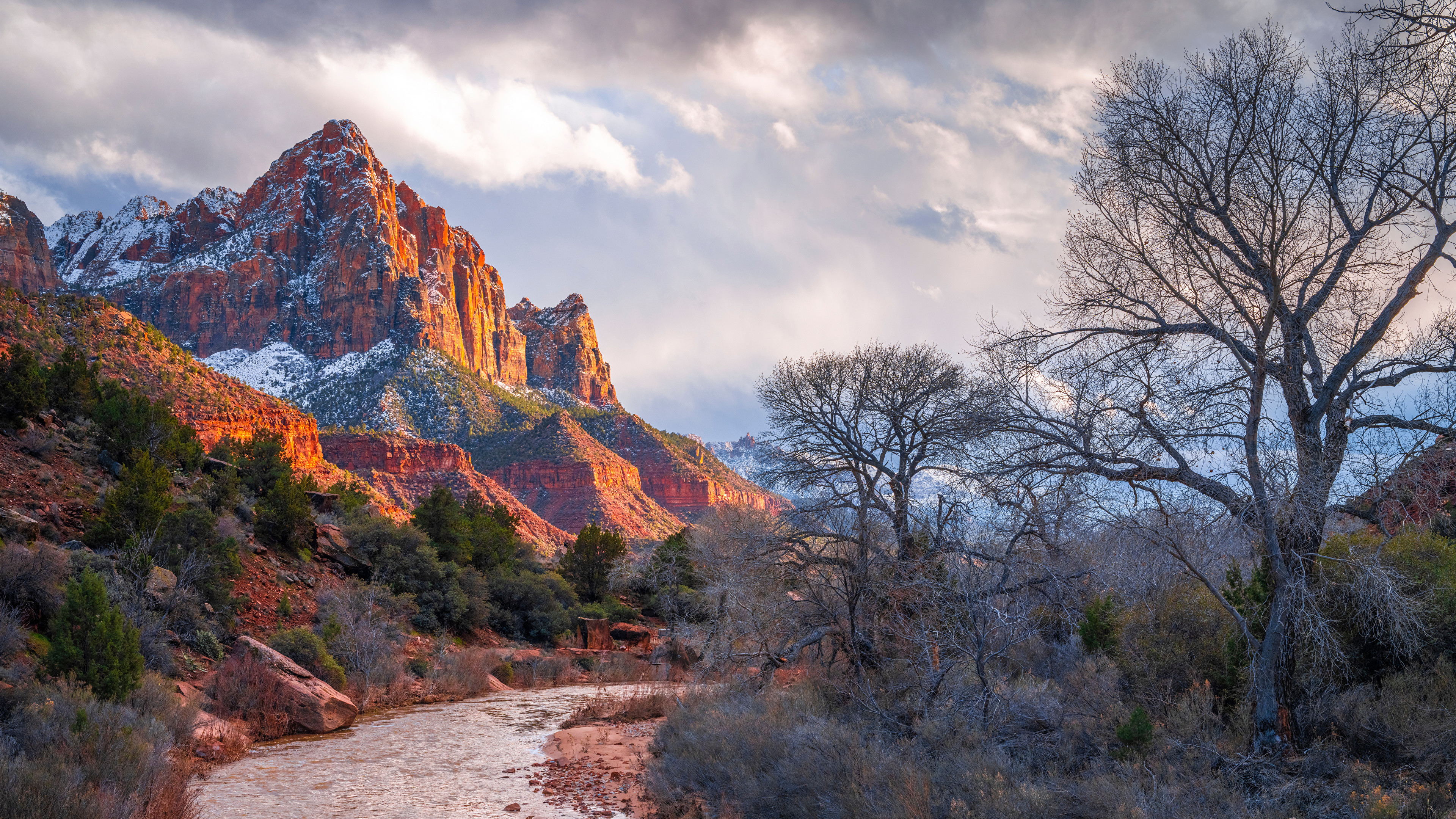 Free photo Zion Park in Utah, USA