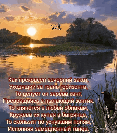 Postcard on the theme evening river birds download for free