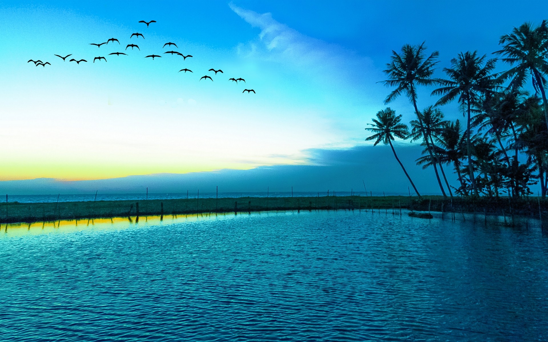 Free photo Large pool on an island with palm trees