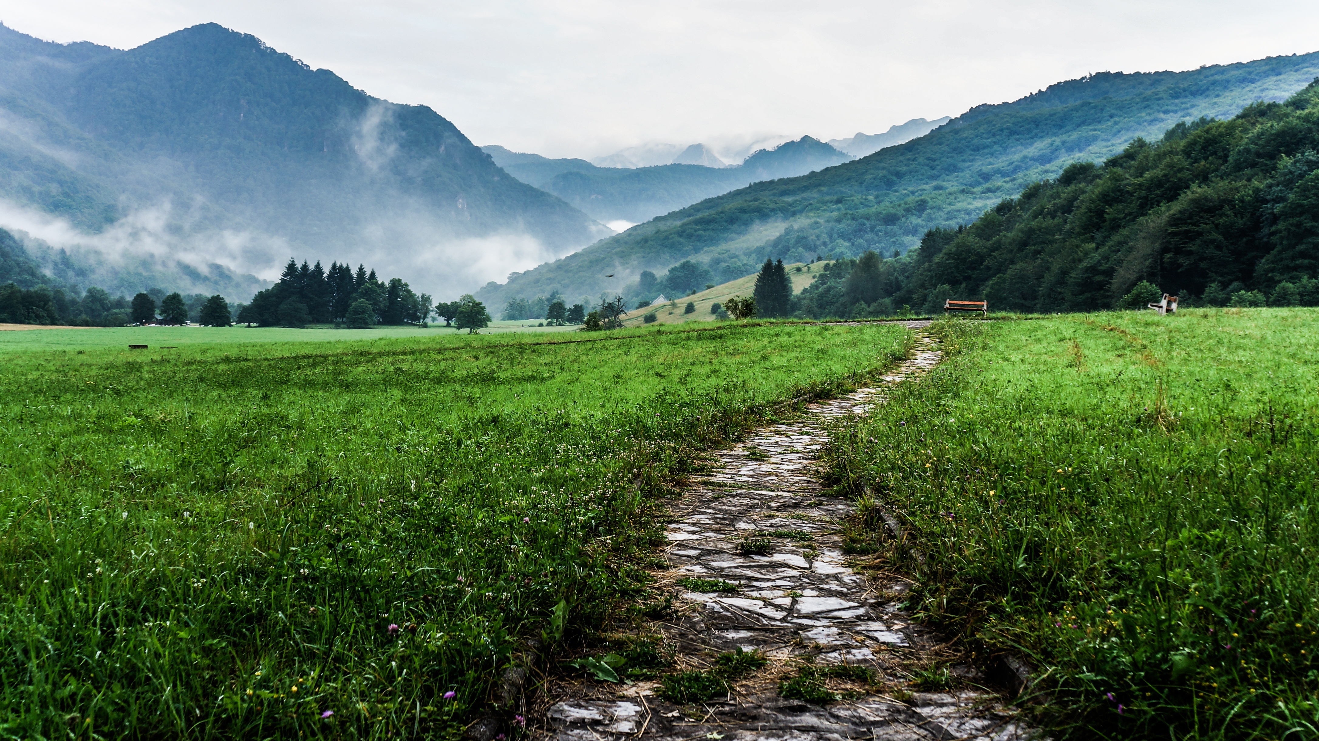 Free photo A stone road through a green field