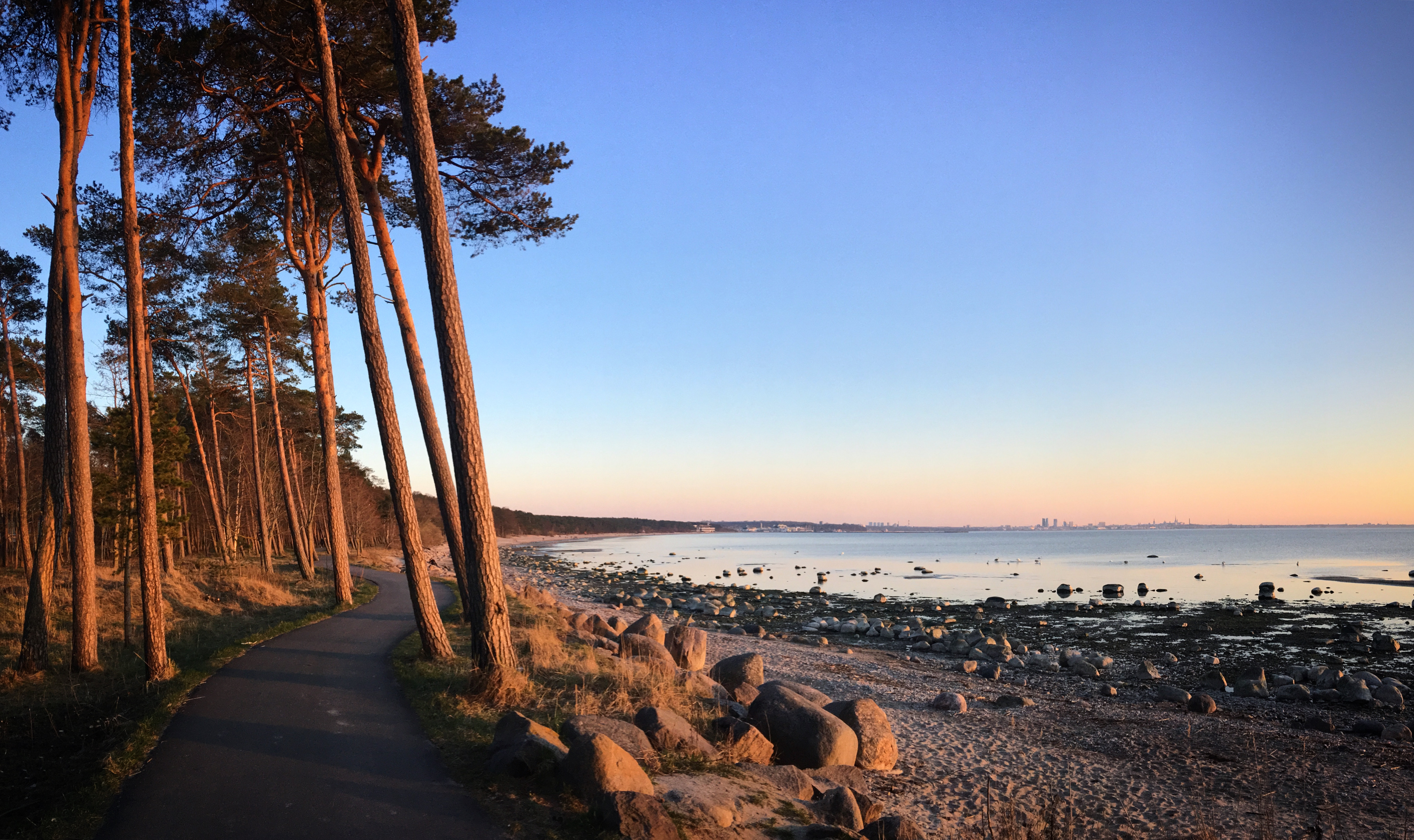 Free photo Bicycle path along the seashore