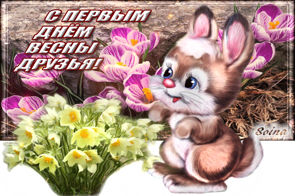 Postcard on the theme 3d gallery postcards flowers hare download for free
