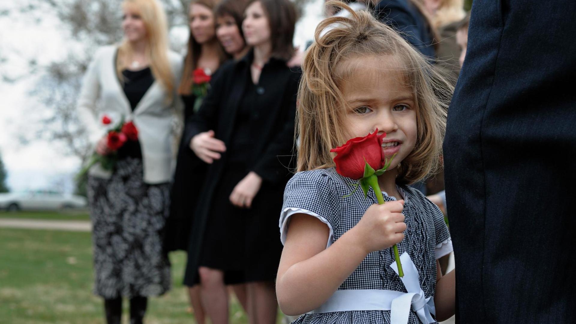 Wallpapers girl people rose on the desktop
