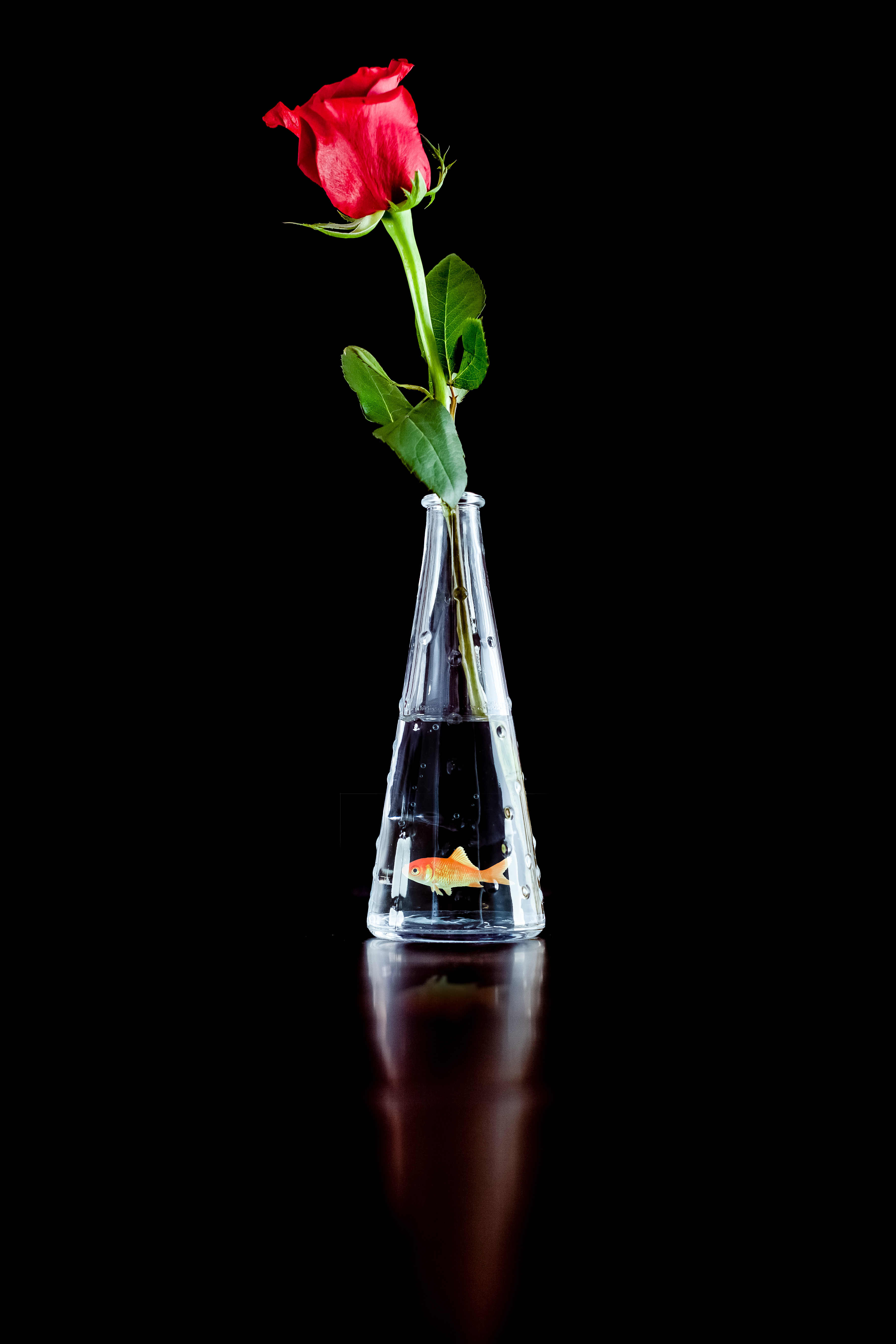 Free photo A golden slave in a vase with a rose.