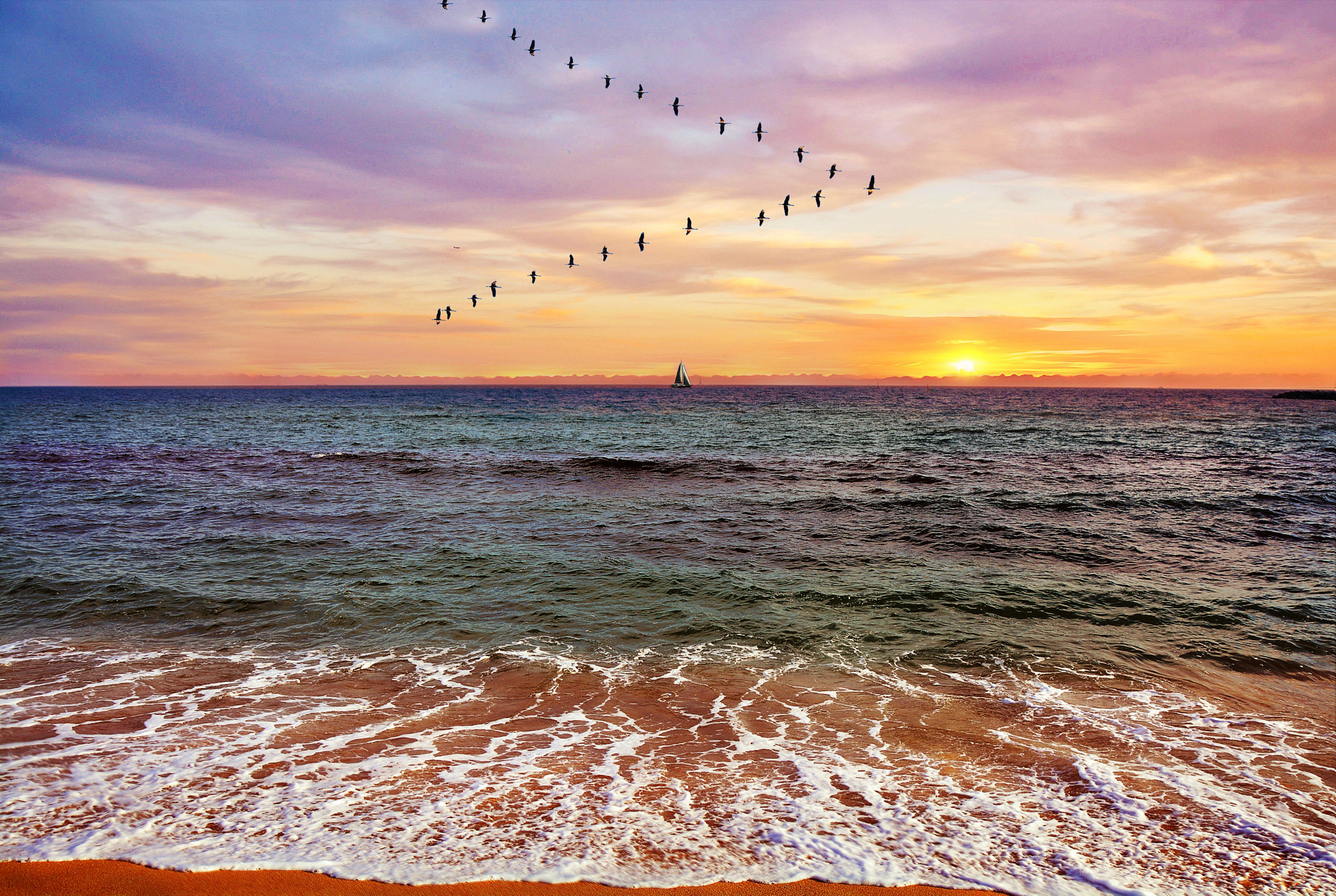 Wallpapers flock landscape jamb of cranes on the desktop