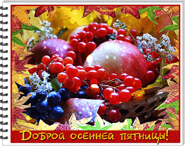 免费明信片秋天的早晨，明信片