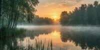 Золотой закат над тихой водной гладью среди природы, окутанной лёгкой дымкой, создавая атмосферу покоя и таинственности.