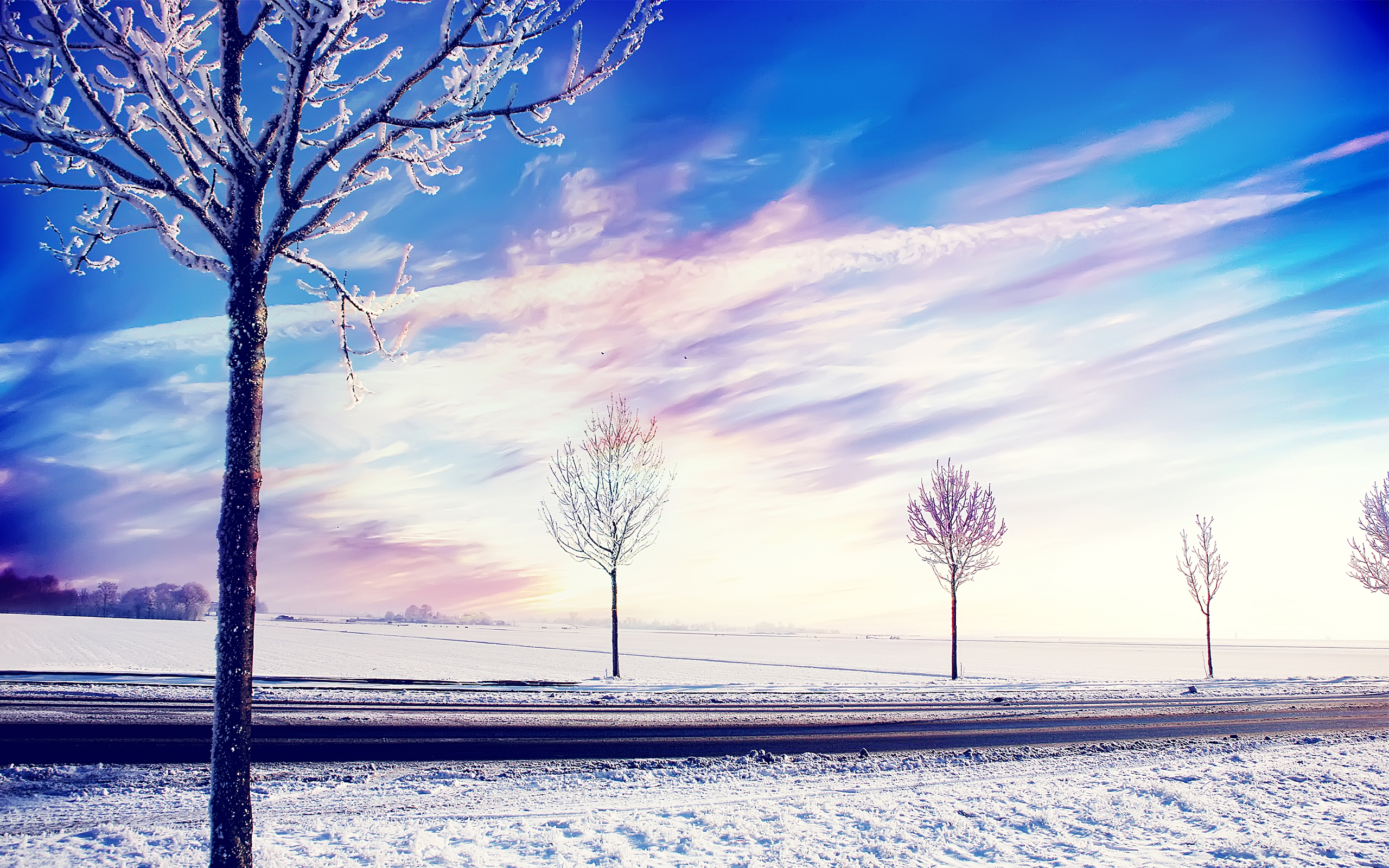 免费照片霜降时节的冬日风景