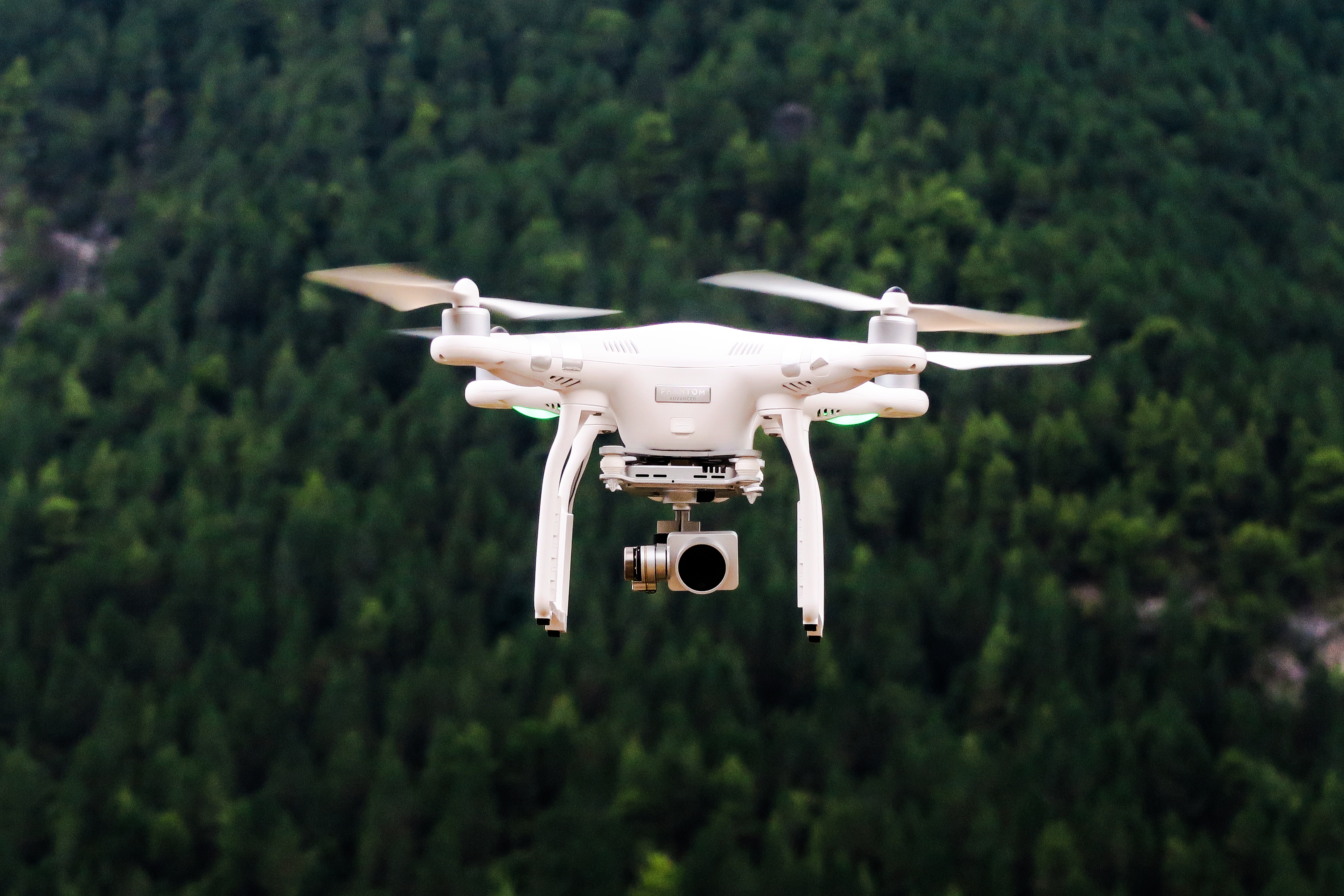 Free photo A quadrocopter flies over the trees.