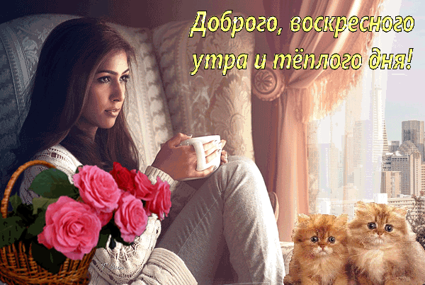 主题为星期日 女孩 猫咪的明信片免费下载