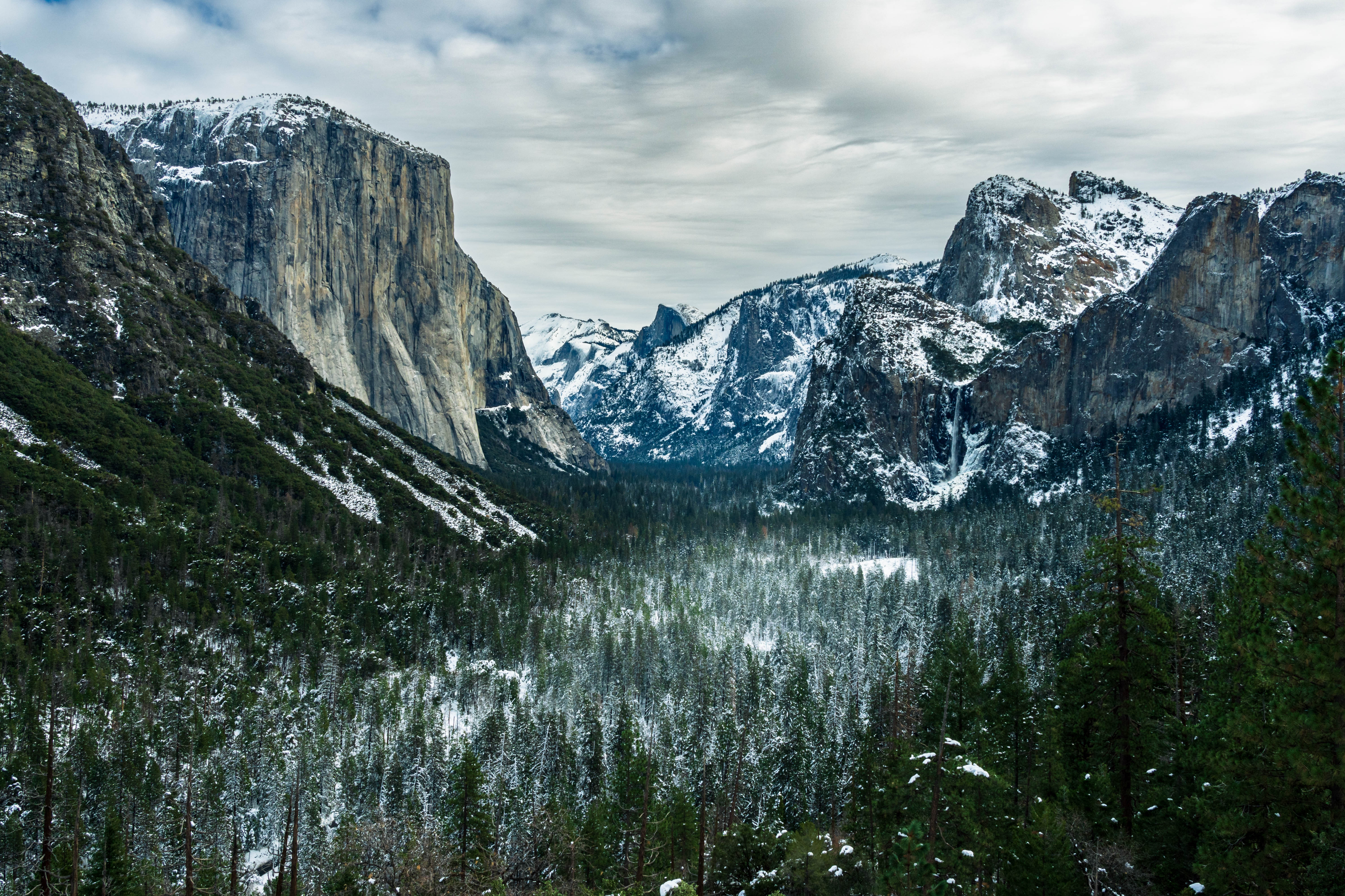 Бесплатное фото Ущелье с еловым лесом и заснеженными горами
