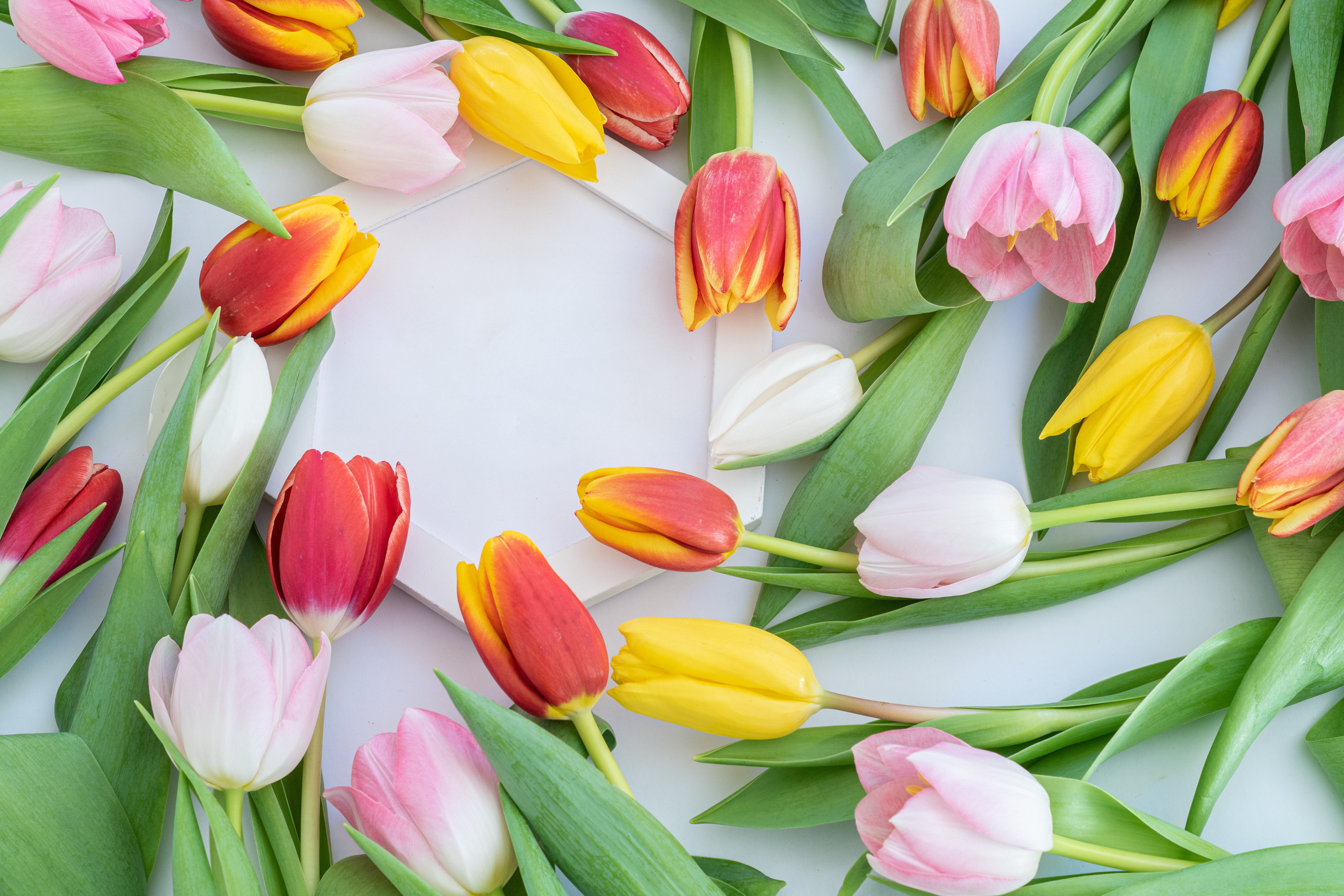 Wallpapers yellow flowers yellow pink color on the desktop