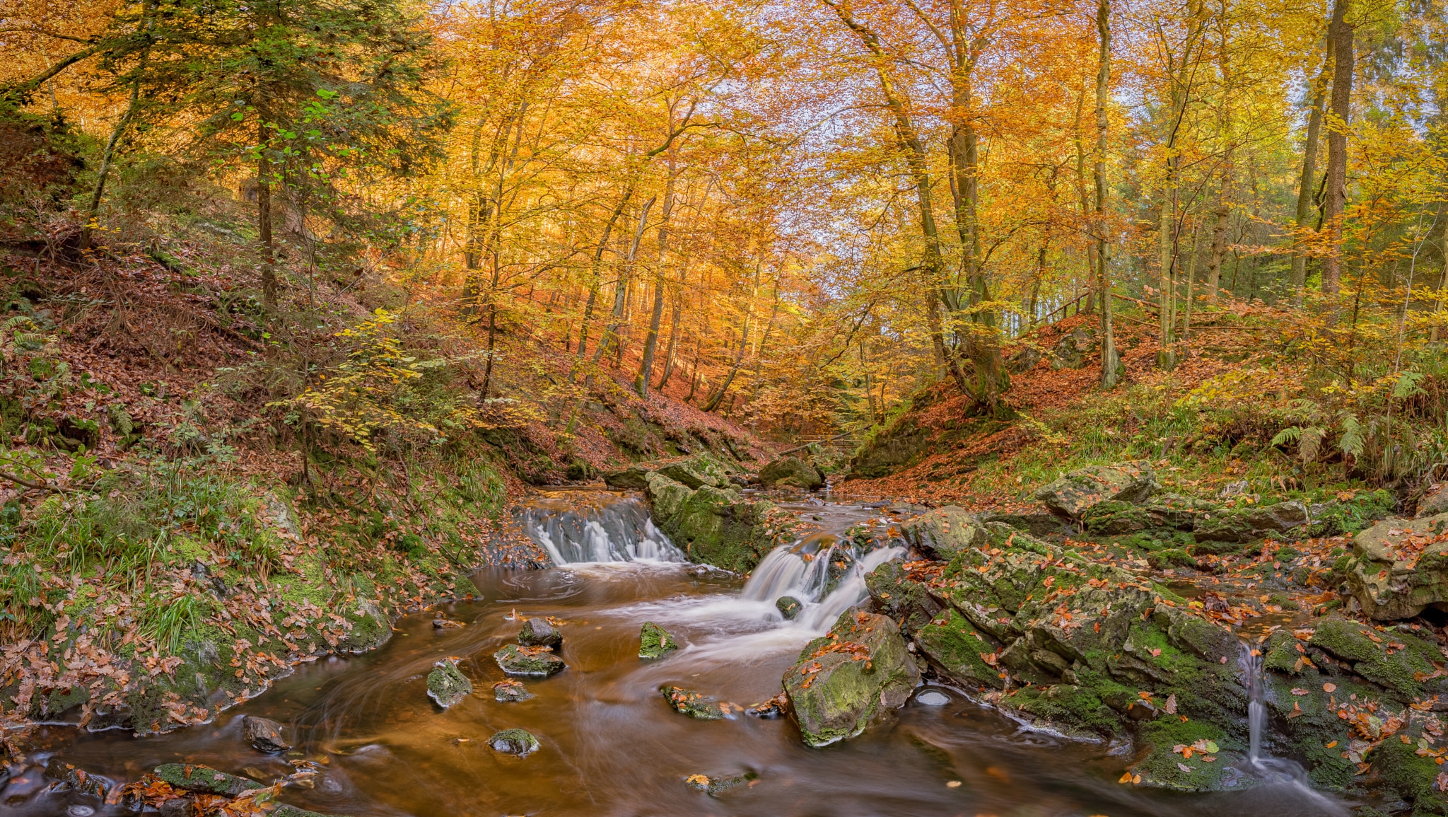 Wallpapers rocks beautifully autumn forest on the desktop