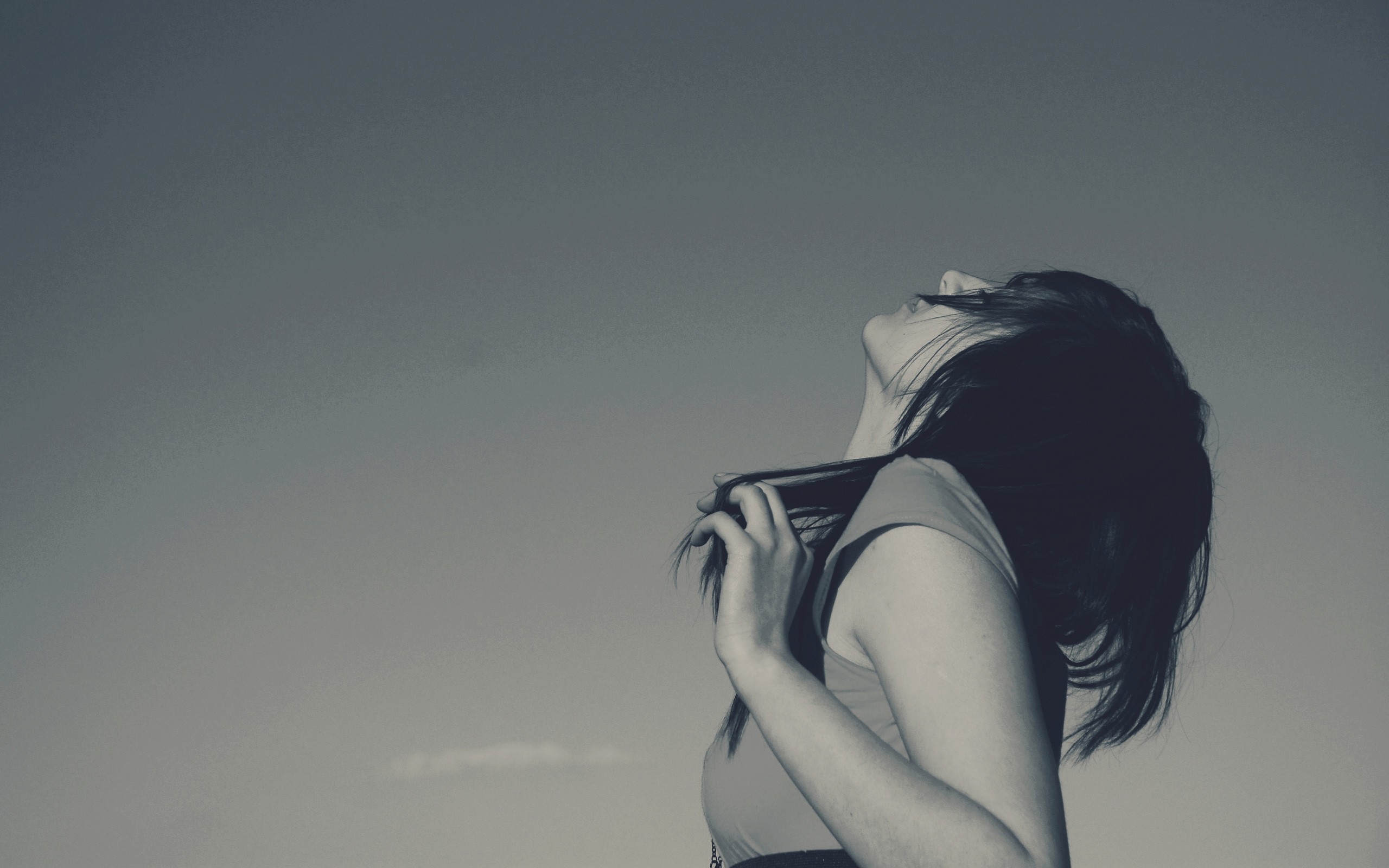 桌面上的壁纸白色 黑 模型