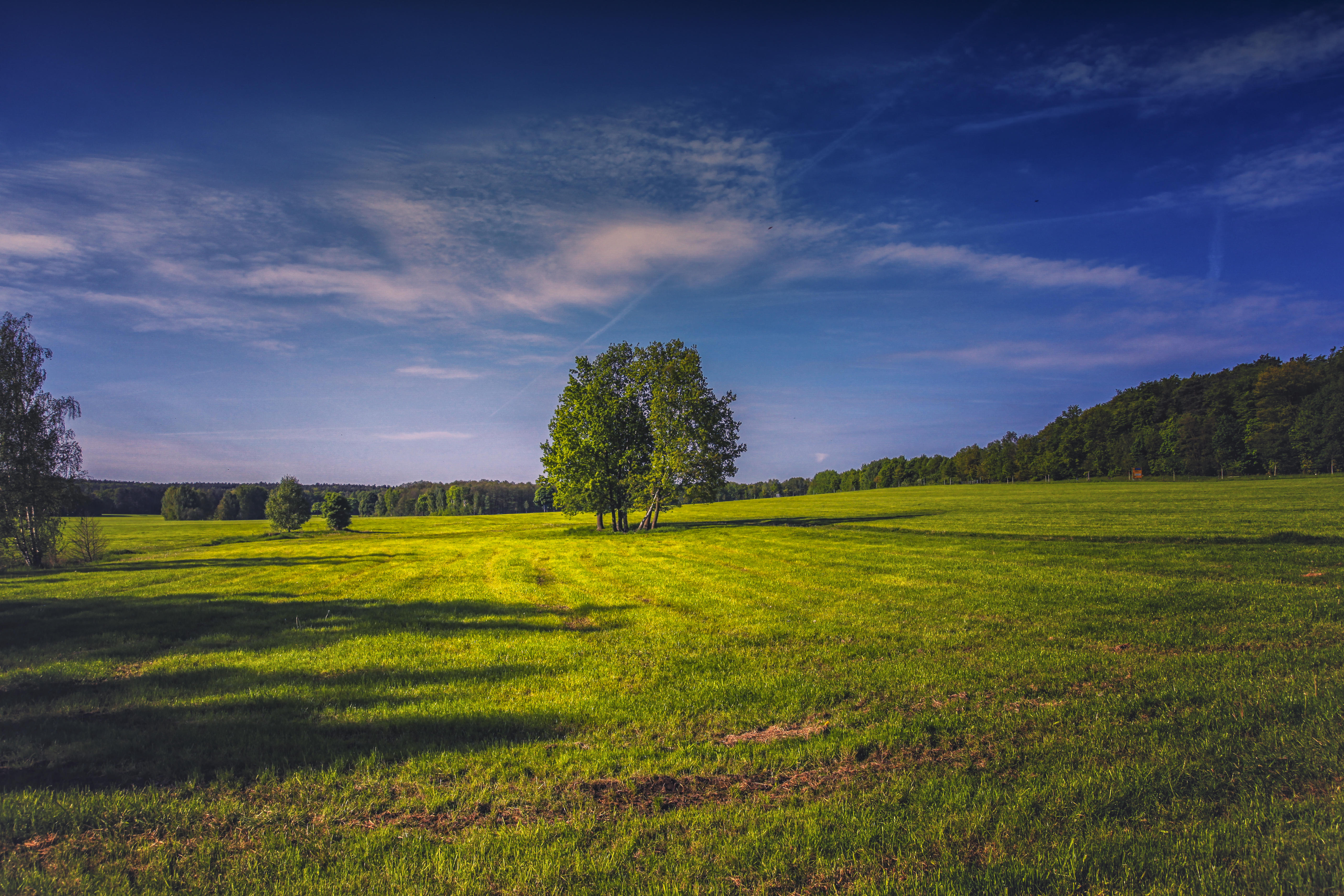 Wallpapers landscape green field summer on the desktop