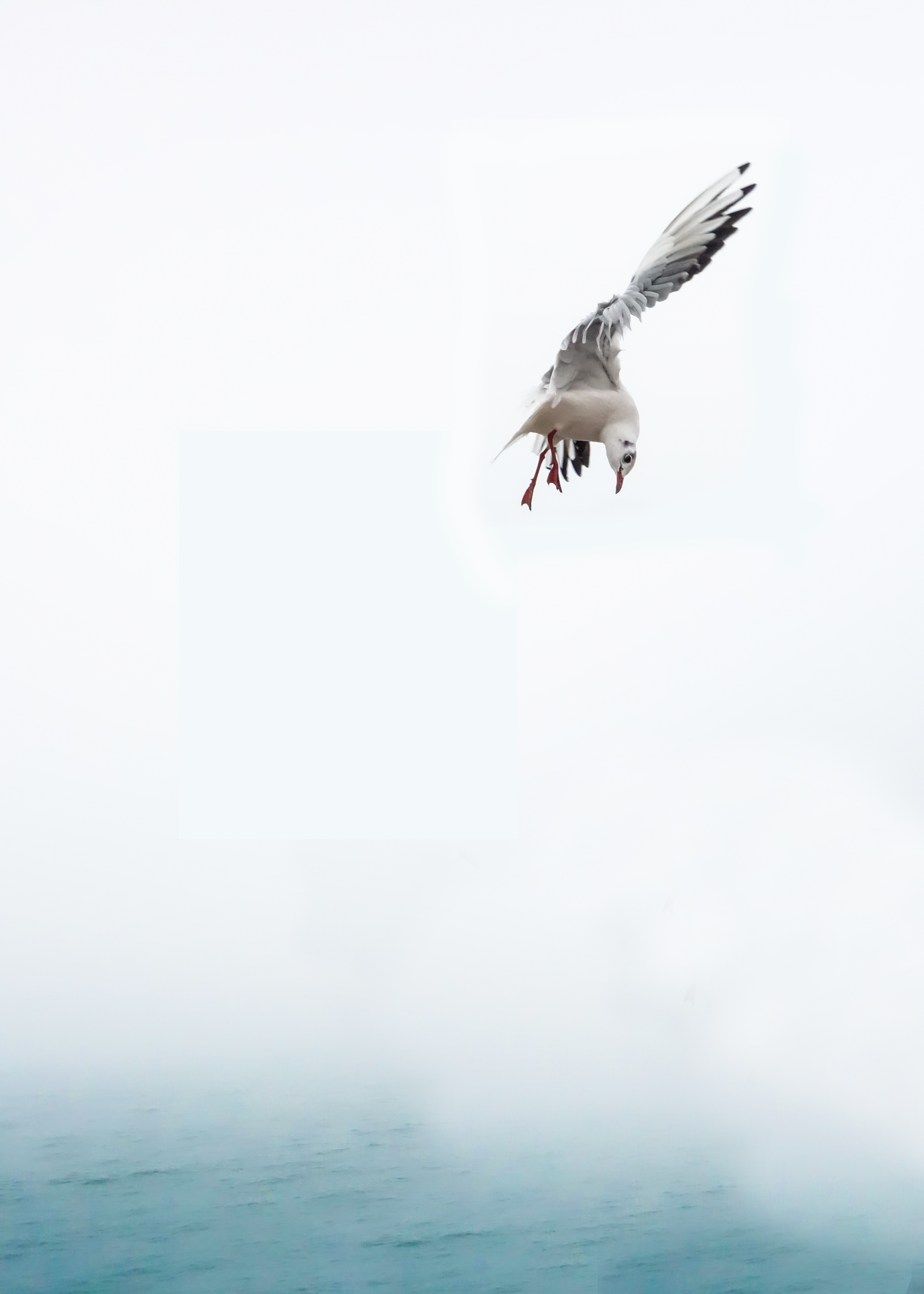 Wallpapers sea water nature on the desktop