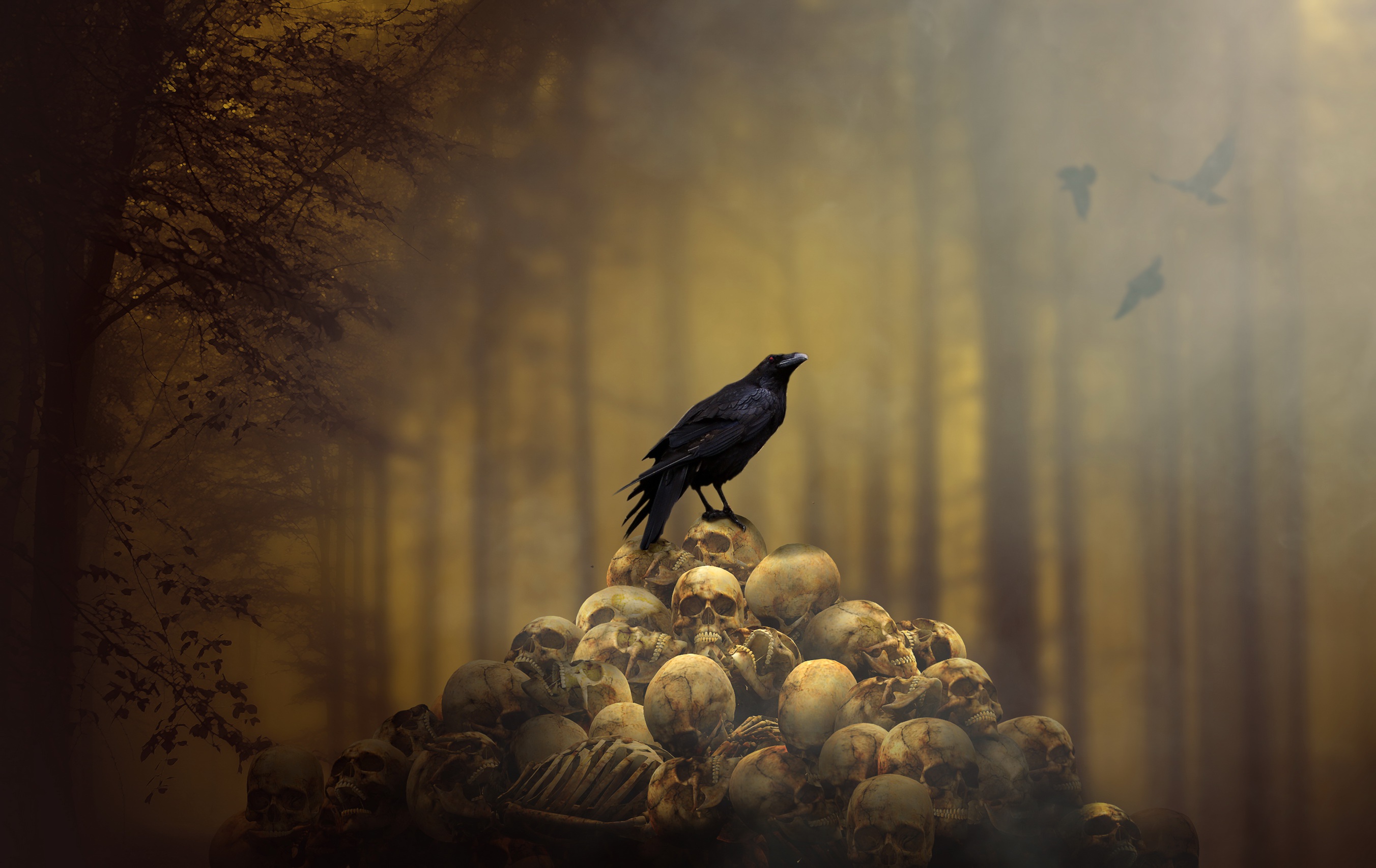 A black raven on a mountain with skulls