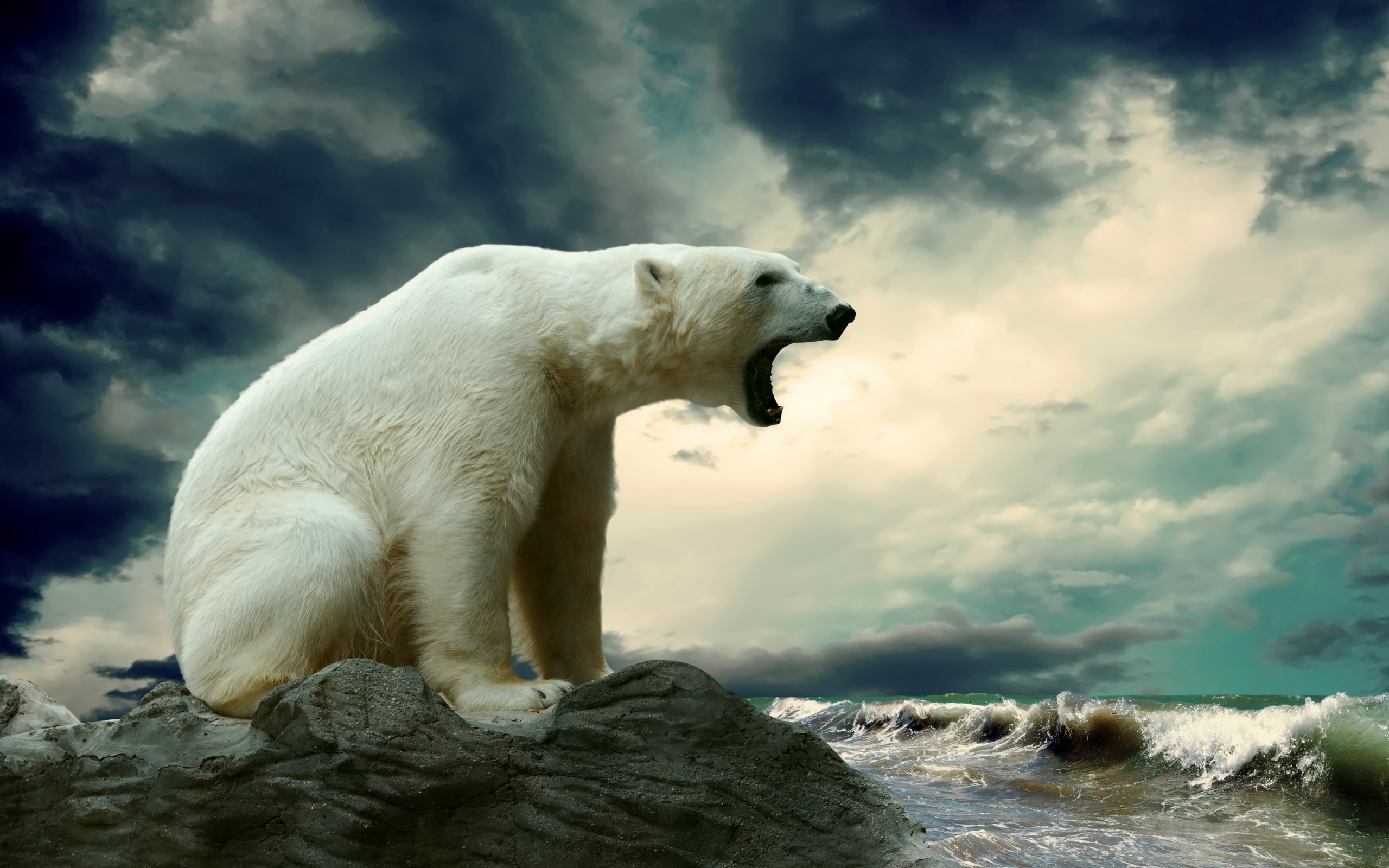 Free photo A polar bear growls