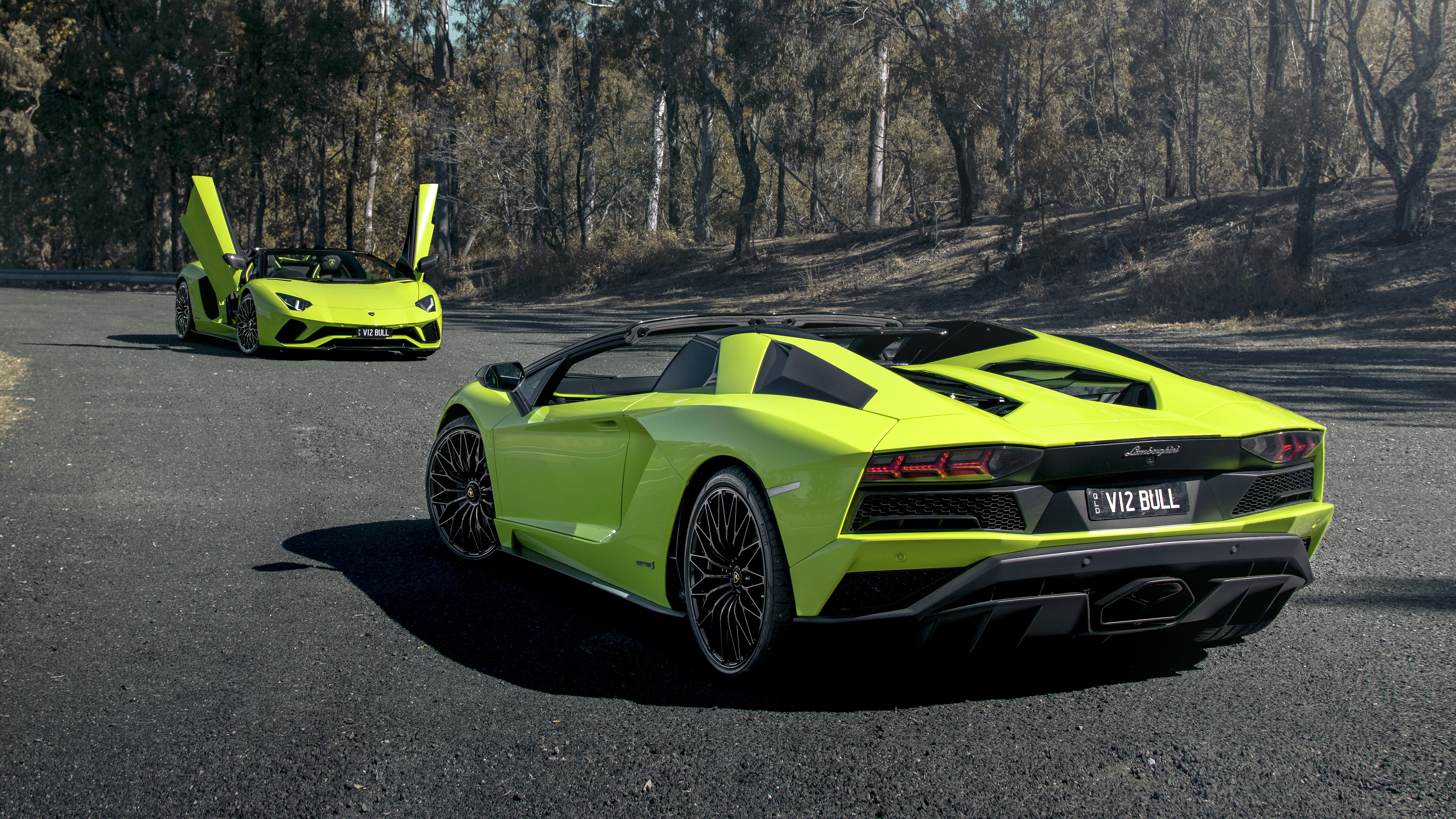 Wallpapers Lamborghini Aventador two cars acid green on the desktop