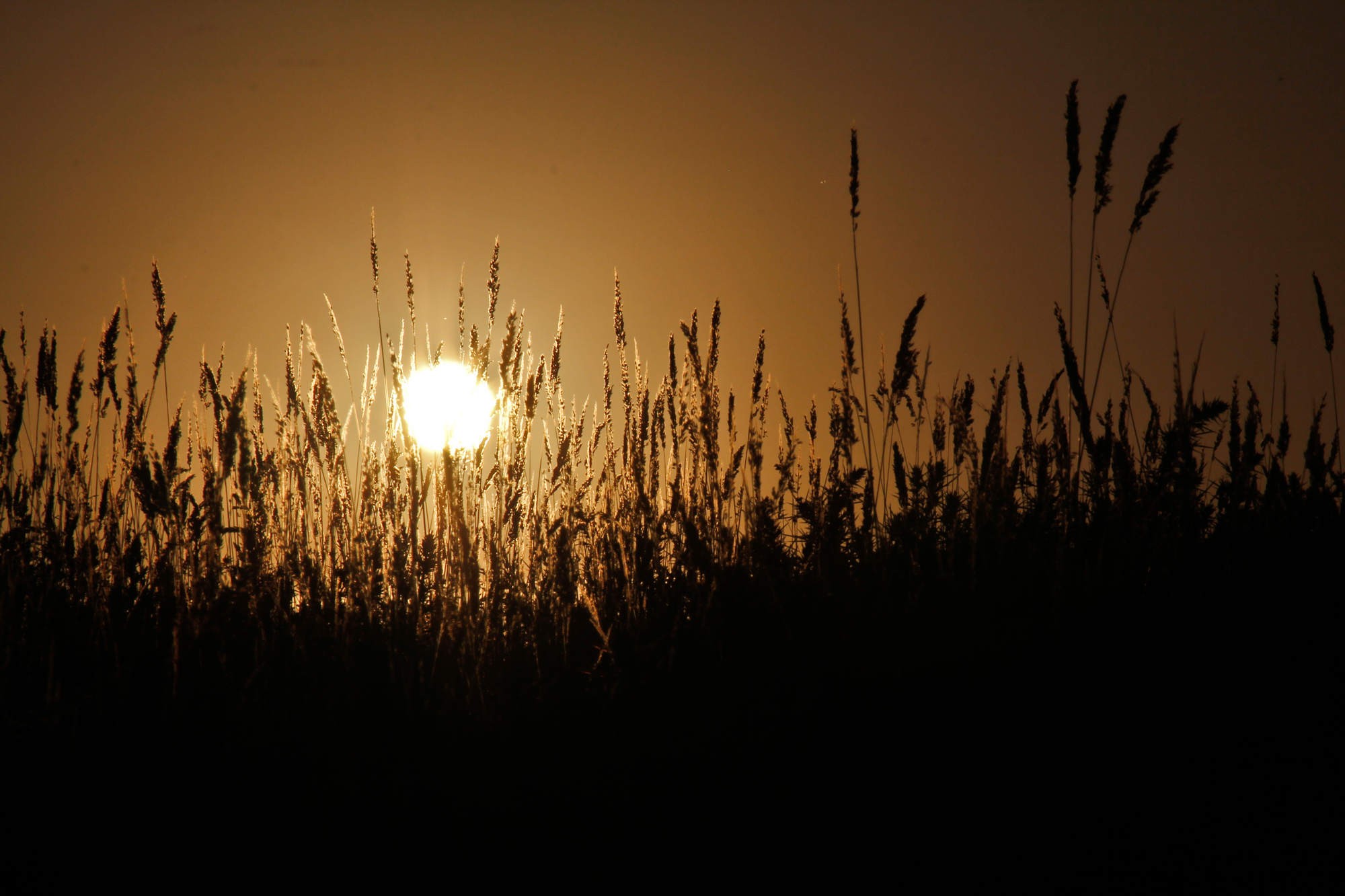 免费照片海浪的沙沙声