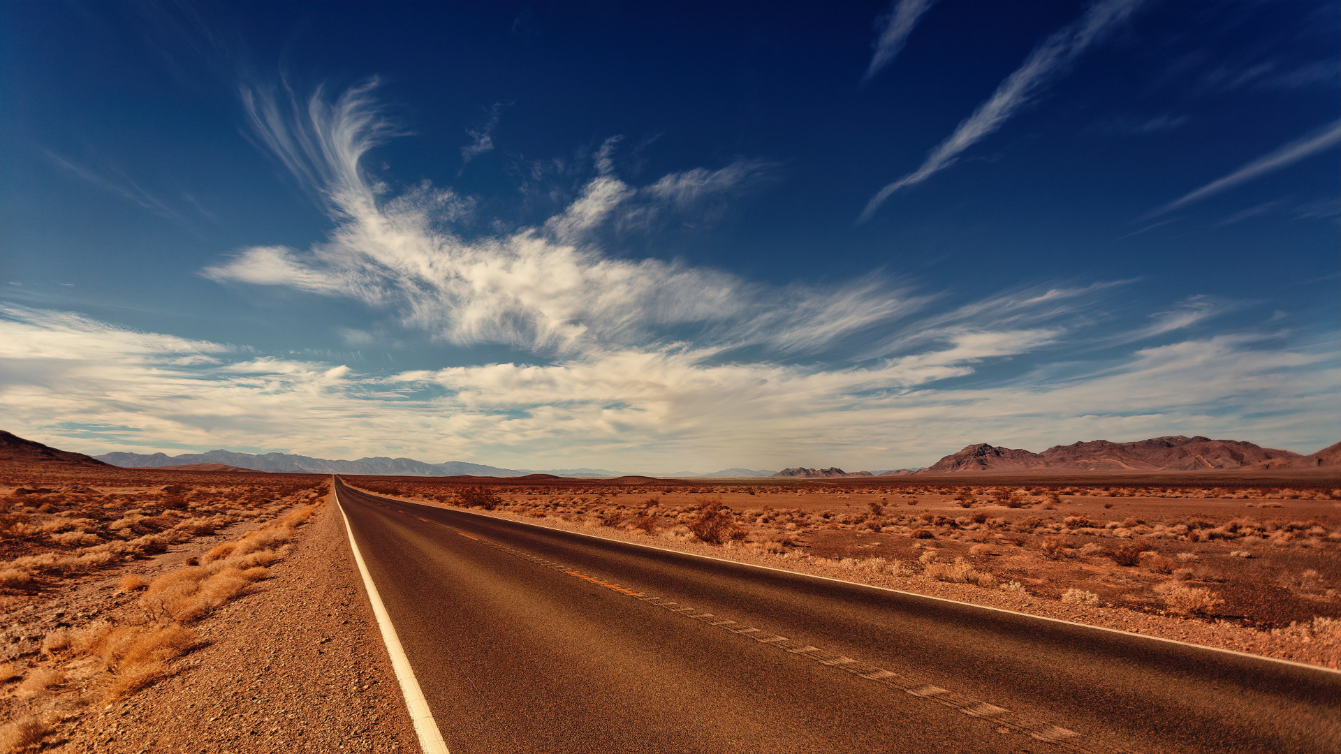 德克萨斯州的一条沙漠公路