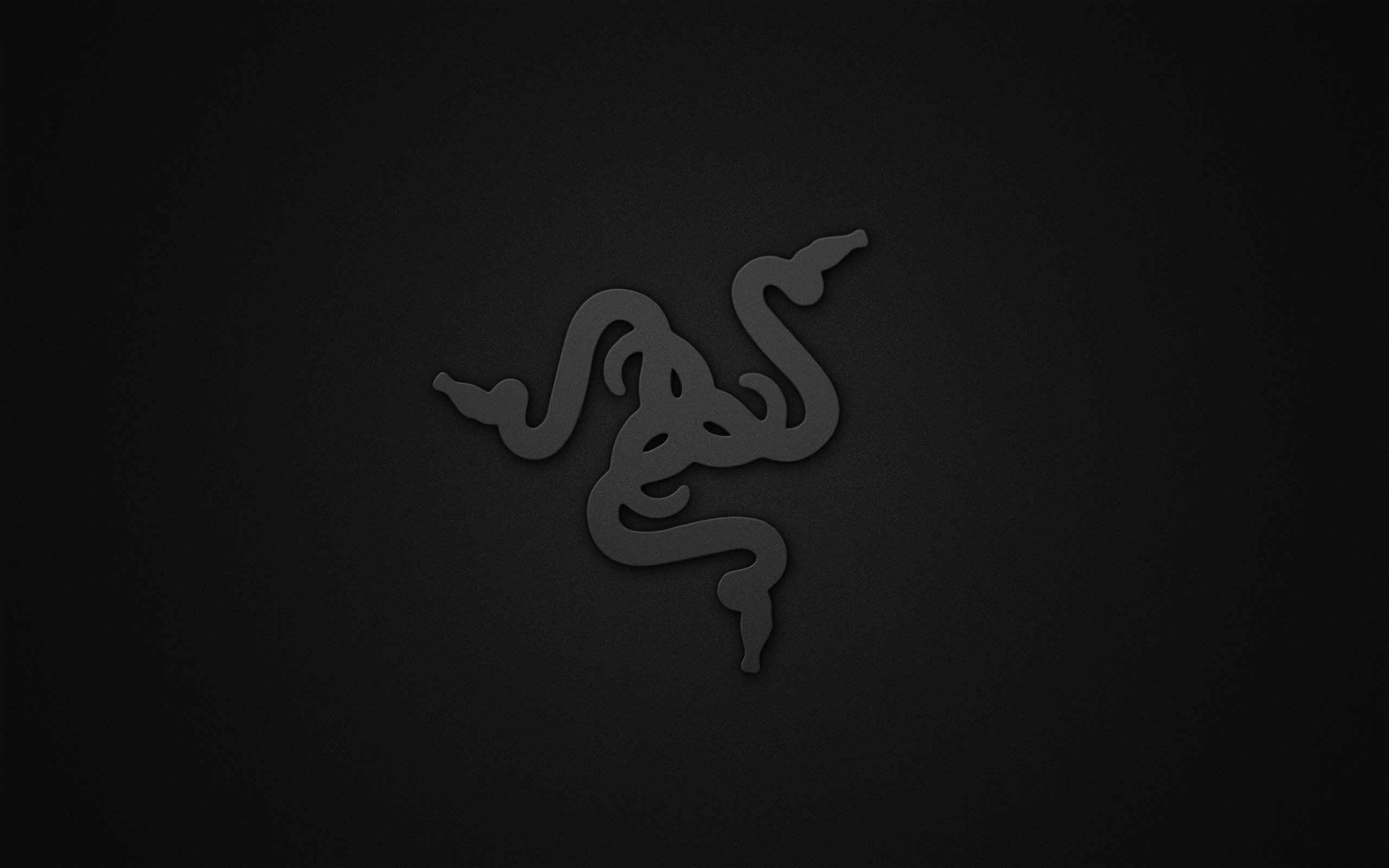 Wallpapers logo hi-tech razer on the desktop