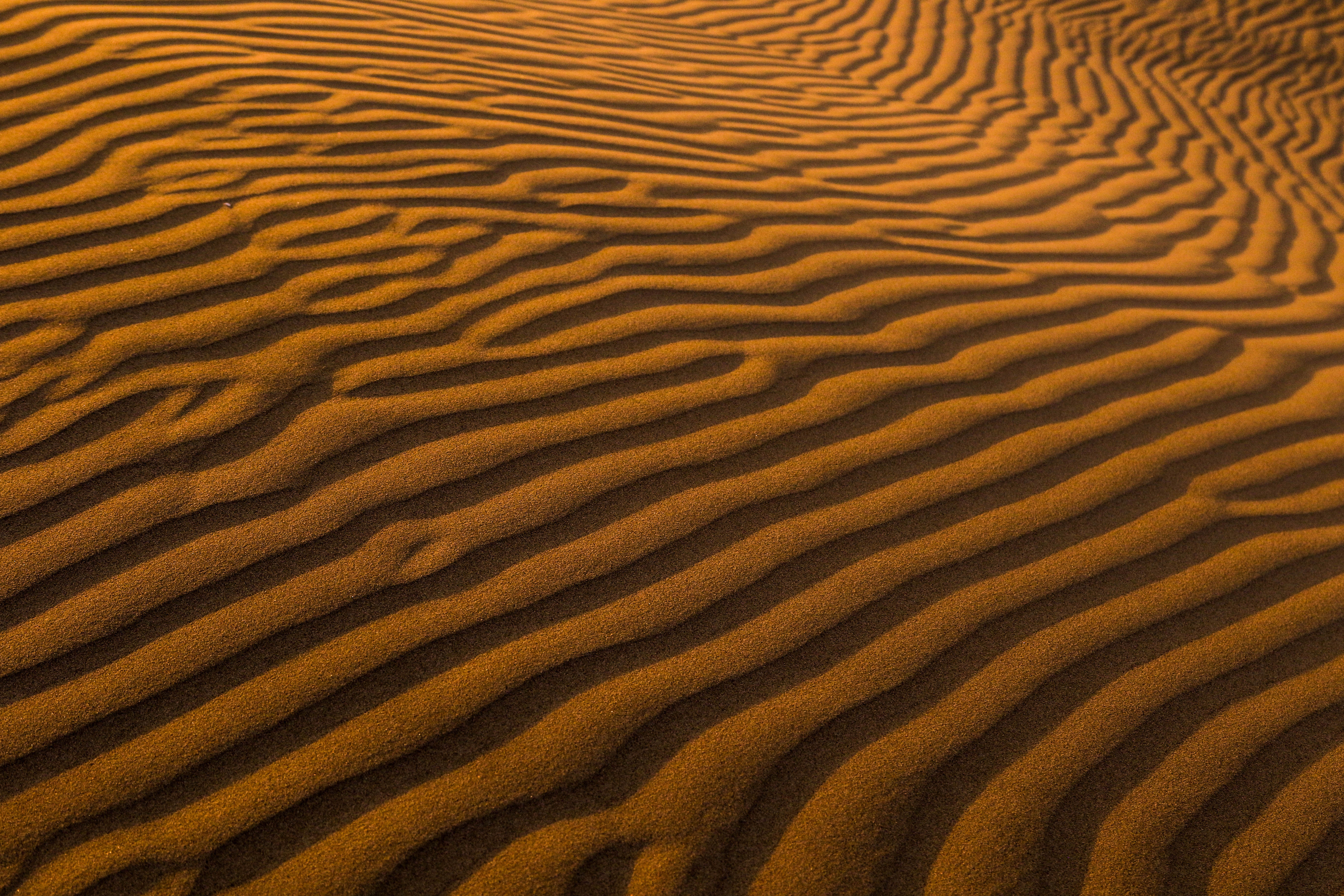 Free photo A beautiful wind pattern on the sand