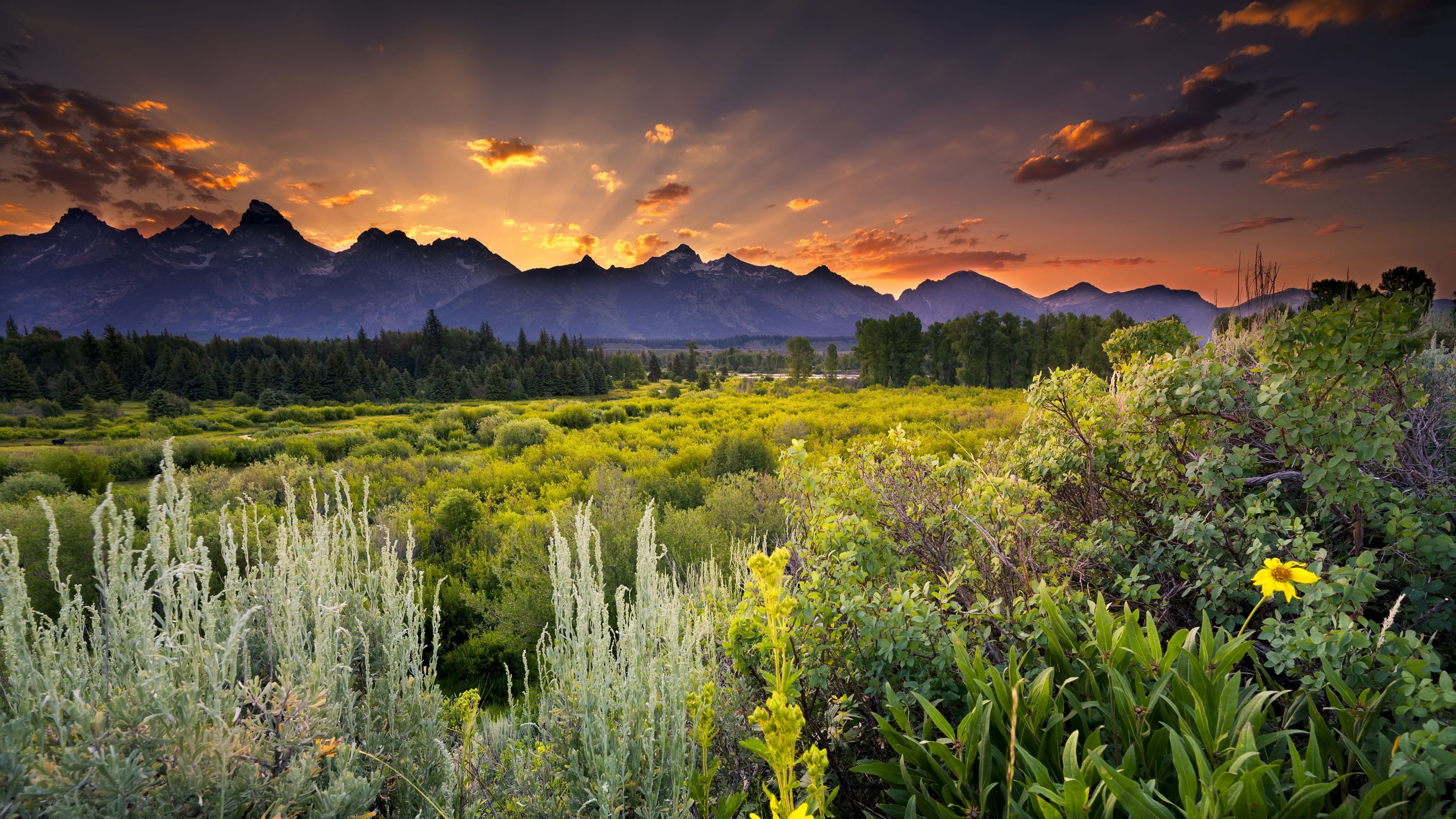 Free photo A wide landscape at sunset