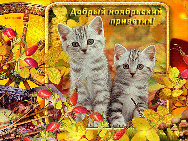 Postcard on the theme good November hello leaves autumn download for free