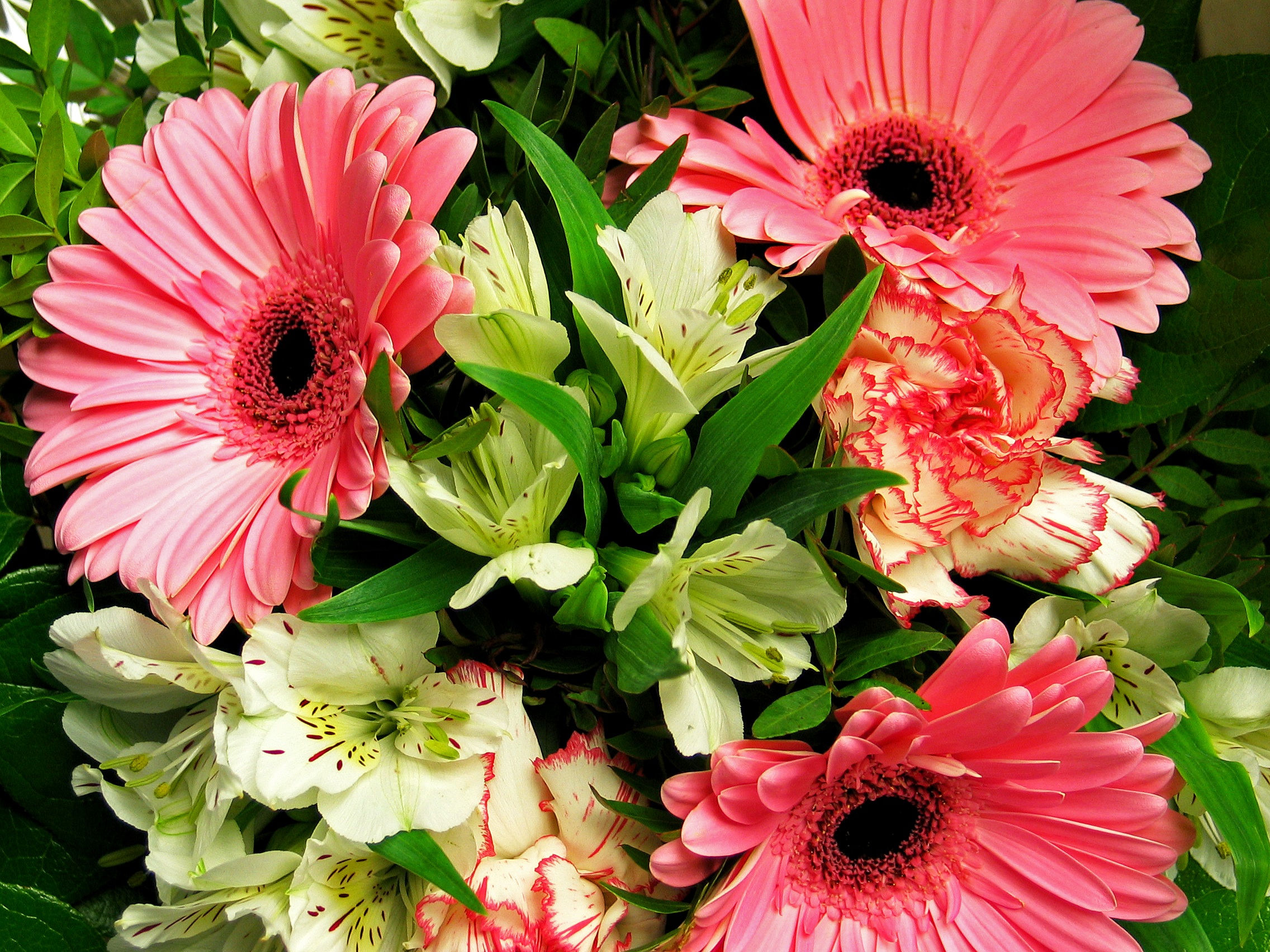 Wallpapers floral festive bouquet original on the desktop