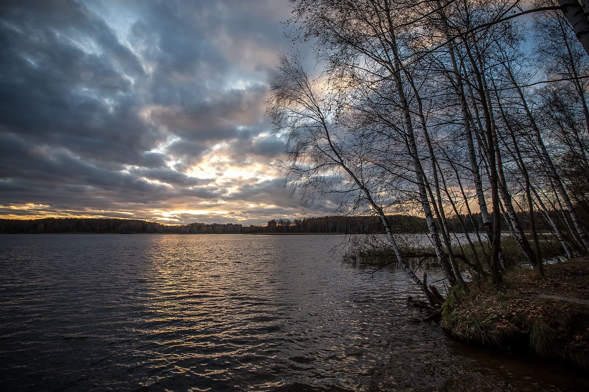 Wallpapers On the shore of Lake Uchinskogo Moscow region Russia on the desktop