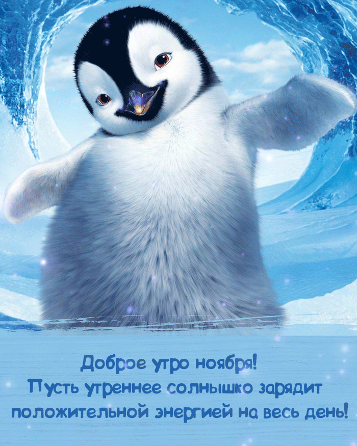 Бесплатная открытка Пингвин желает доброго ноябрьского утра