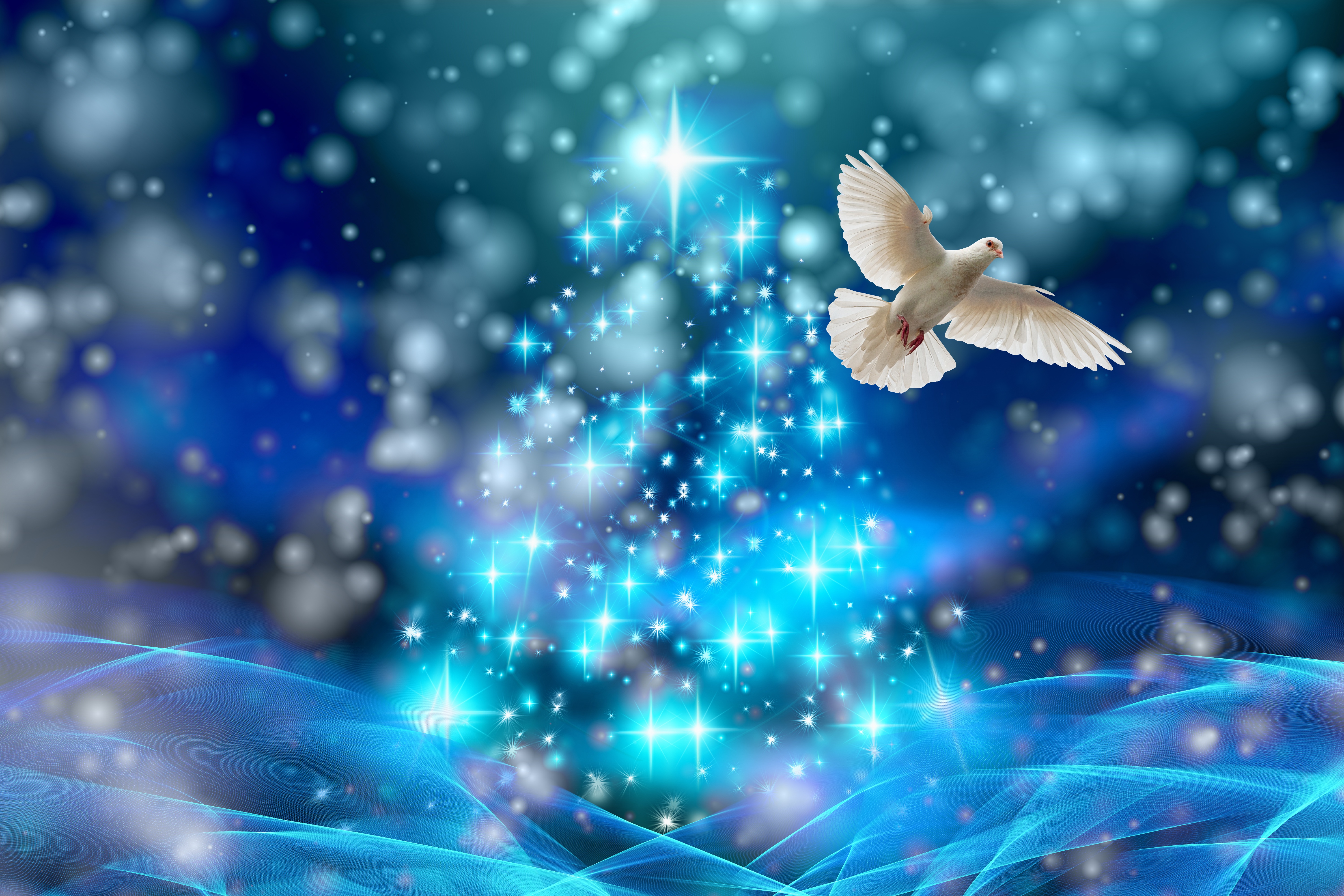 Wallpapers christmas dove lights on the desktop