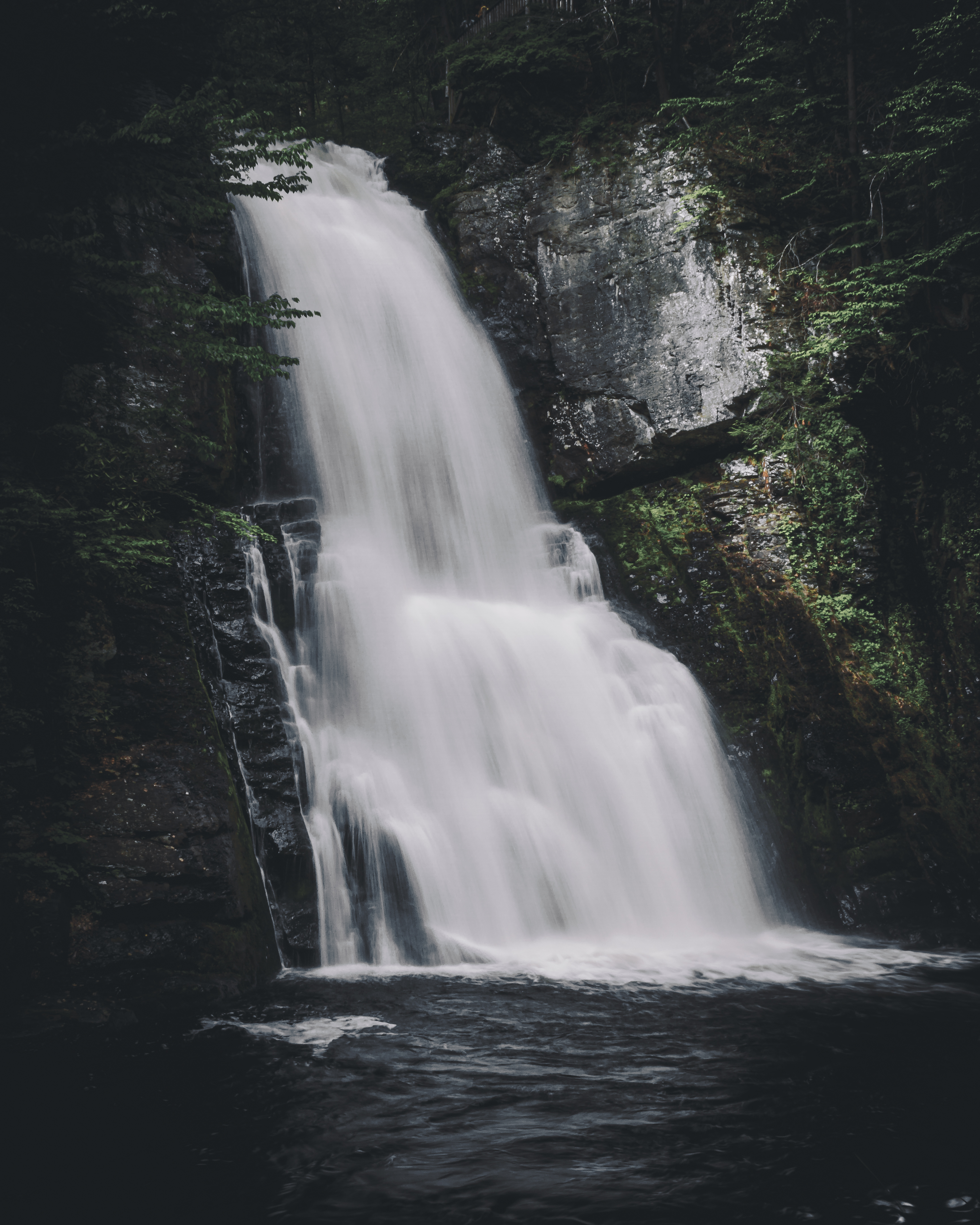 Free photo A waterfall deep in the forest