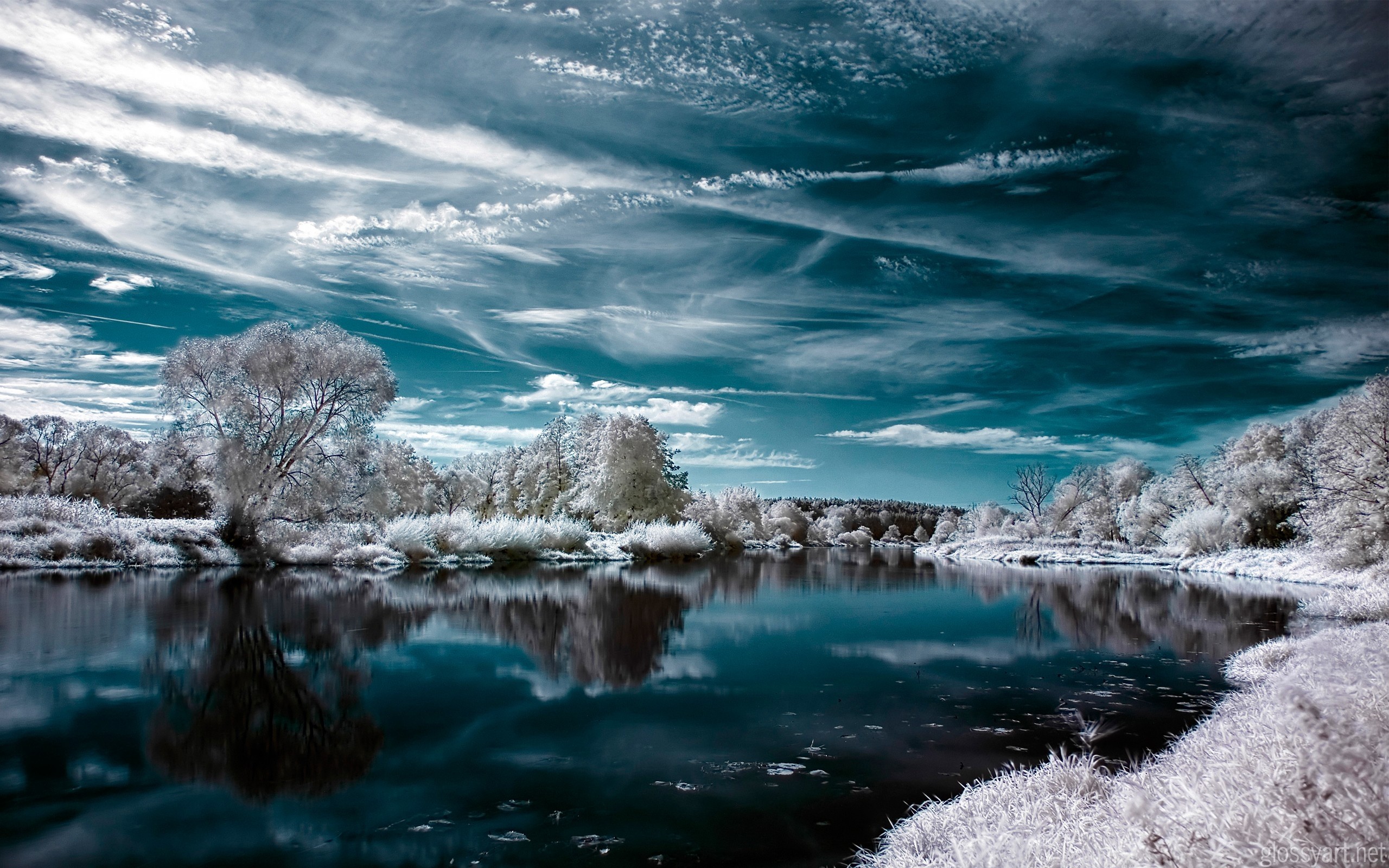 Free photo Snowy shores by the lake