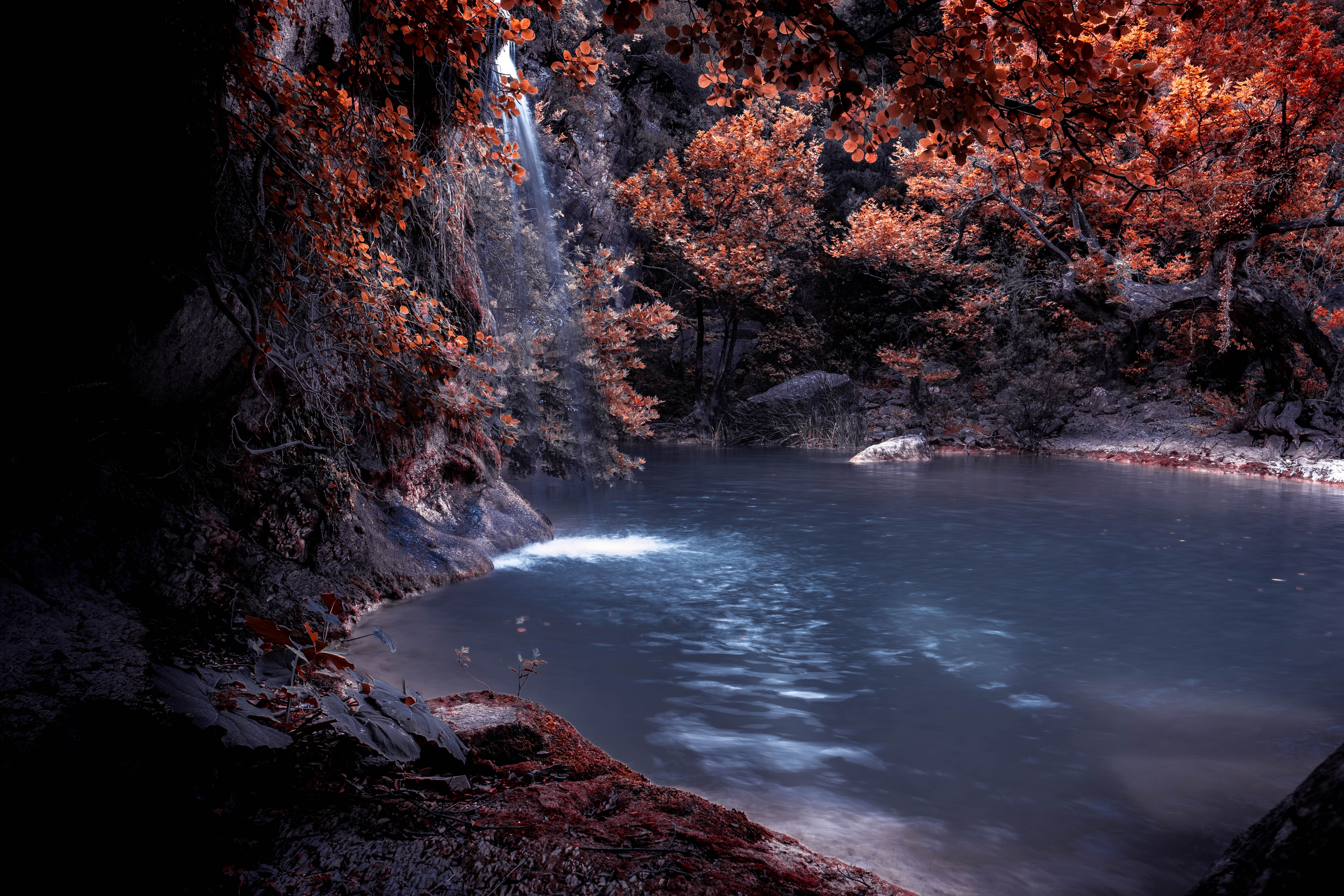 Free photo A waterfall in an old fall forest.