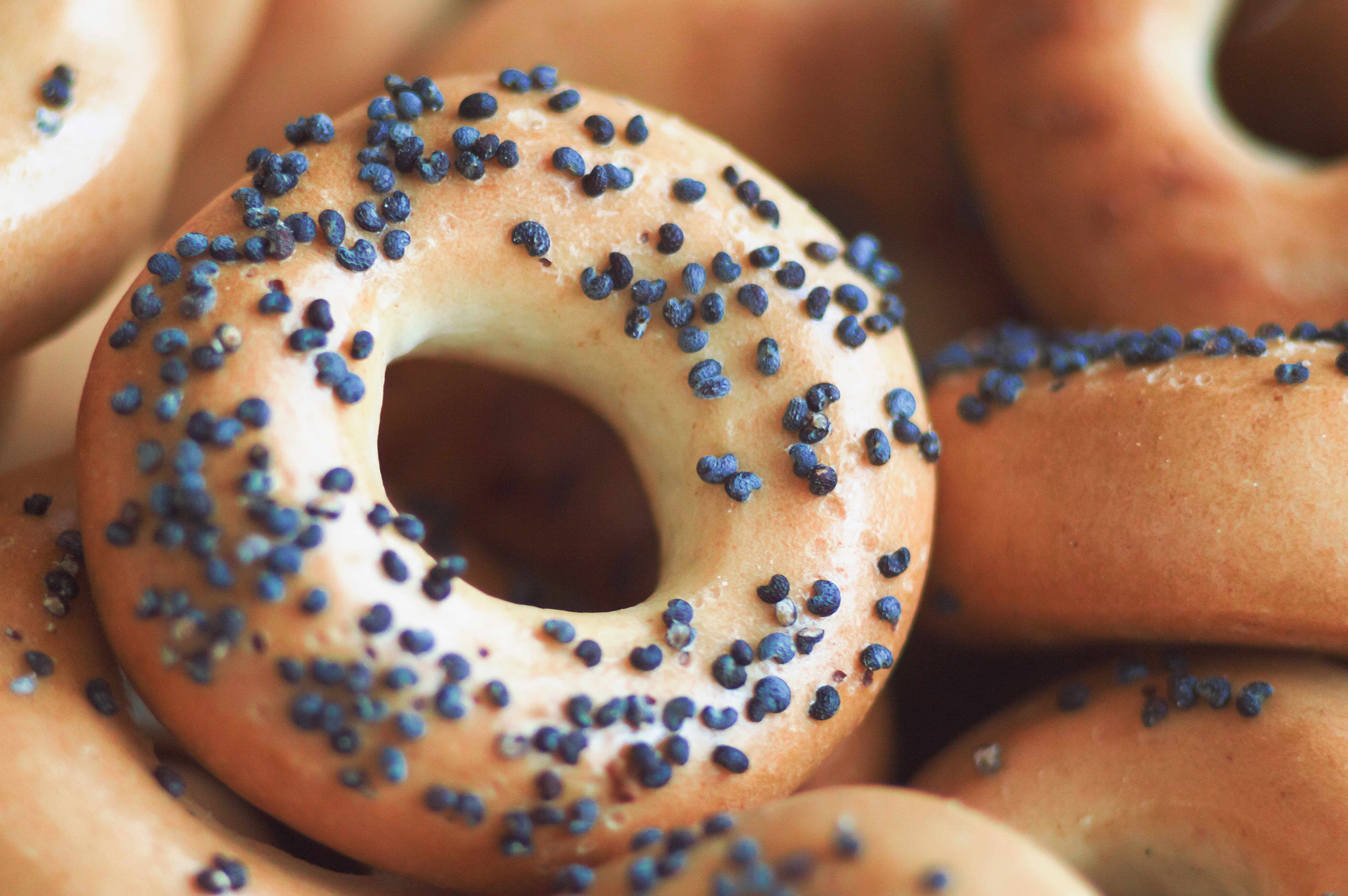Free photo Poppy seed doughnut