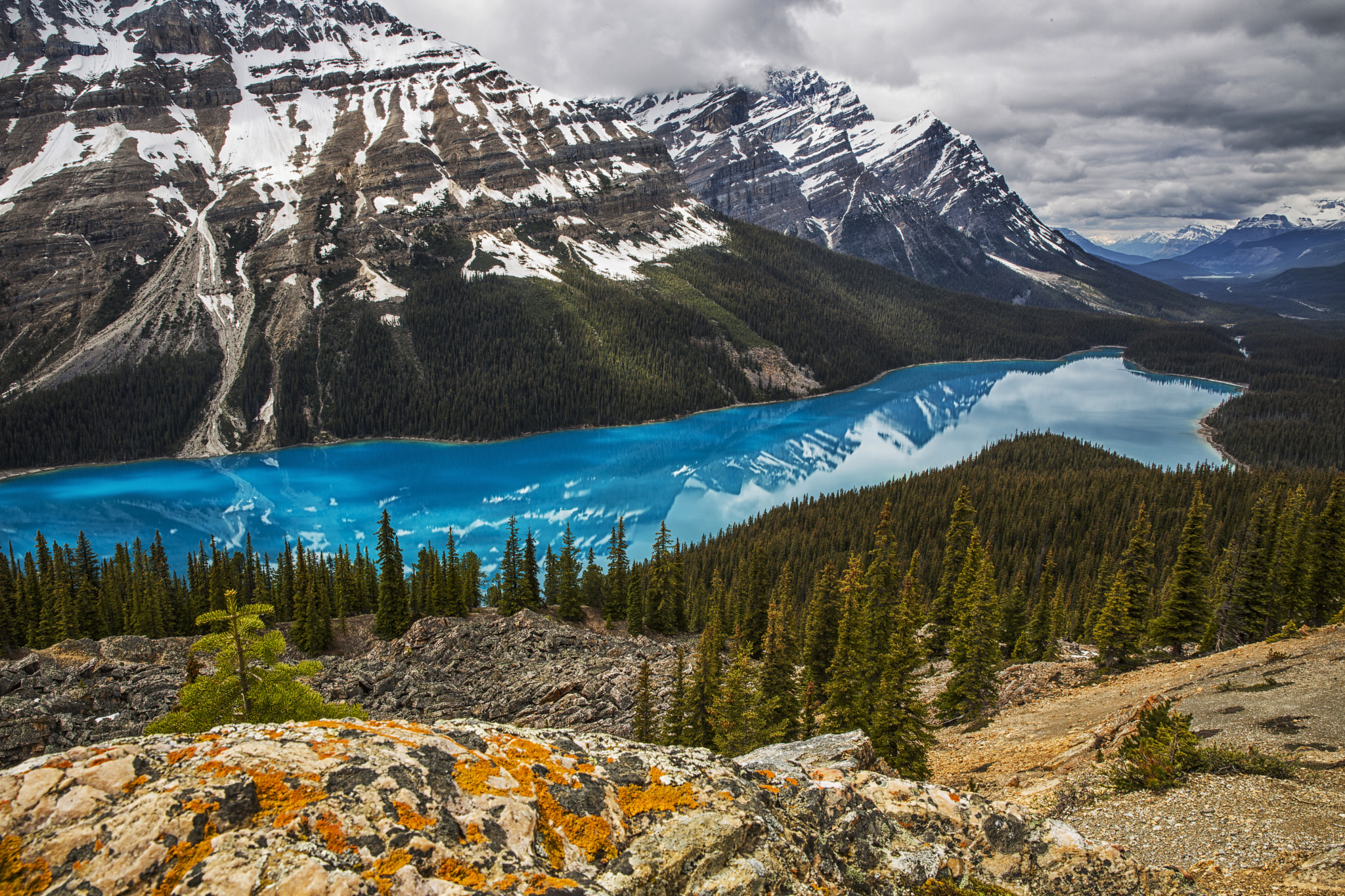 Обои Peyto Lake скалы лес на рабочий стол