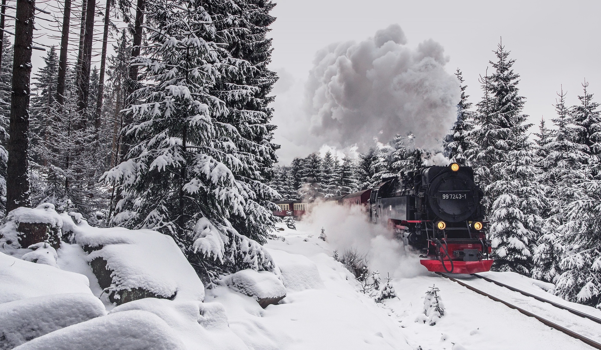 Wallpapers trees winter forest train on the desktop