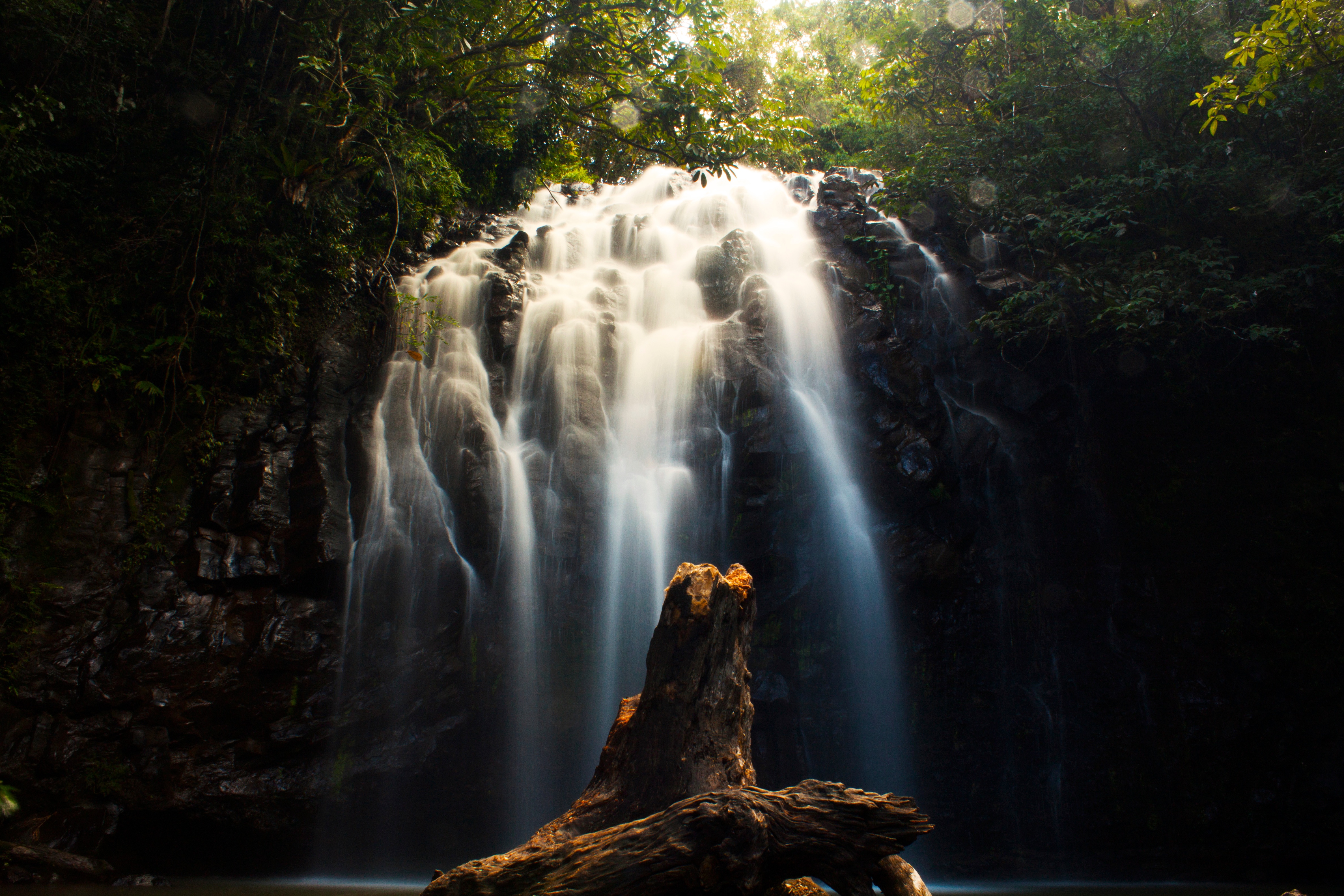 Morning in the jungle near a waterfall.
