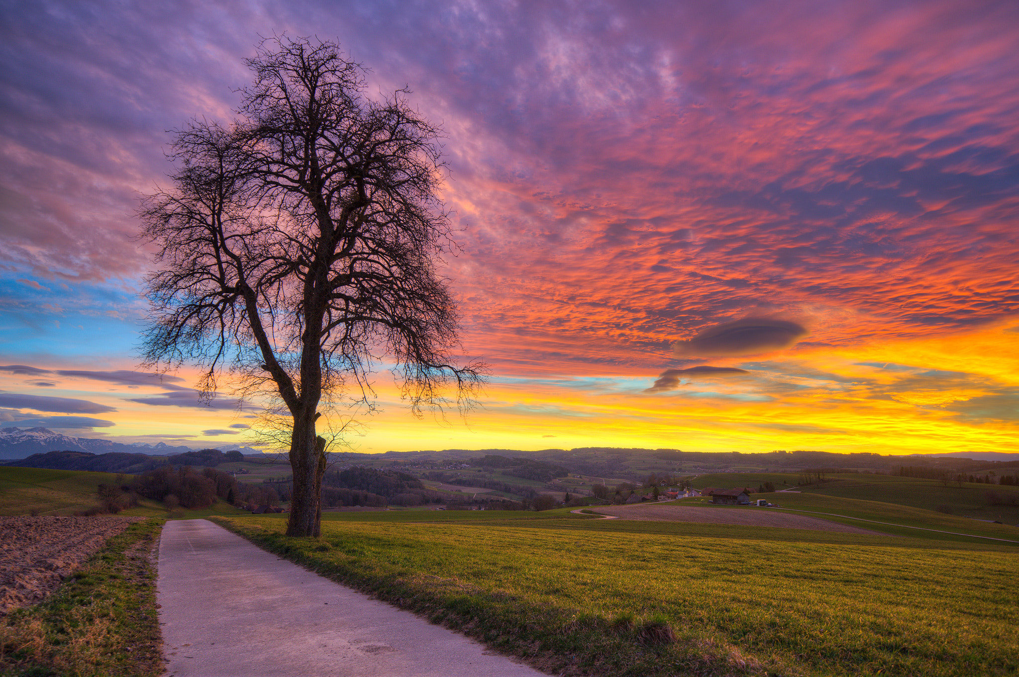 Free photo Free sunset, road, field - beautiful photo