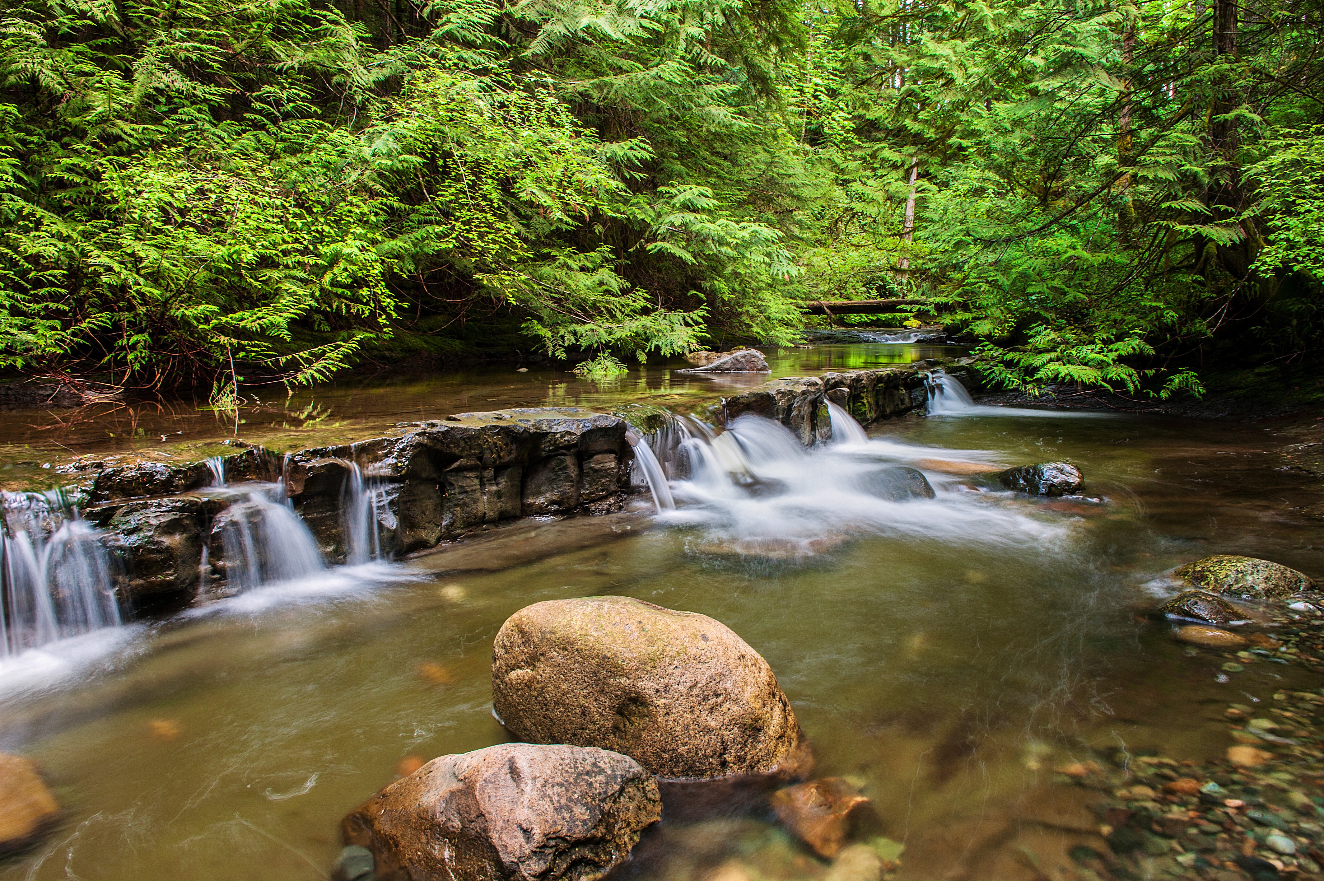 Free photo A wide and small waterfall in the forest