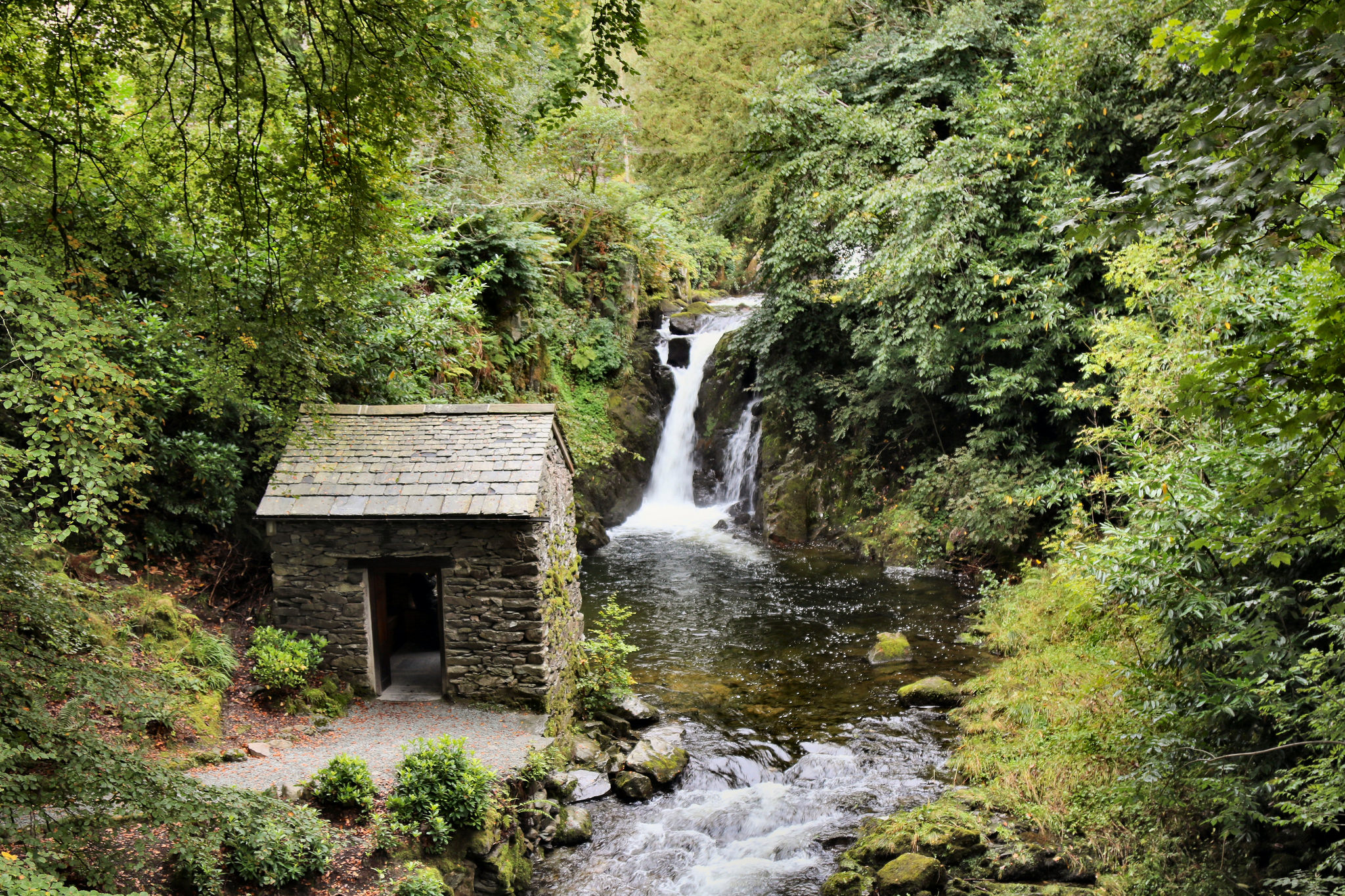 Free photo Old building by the river in the woods